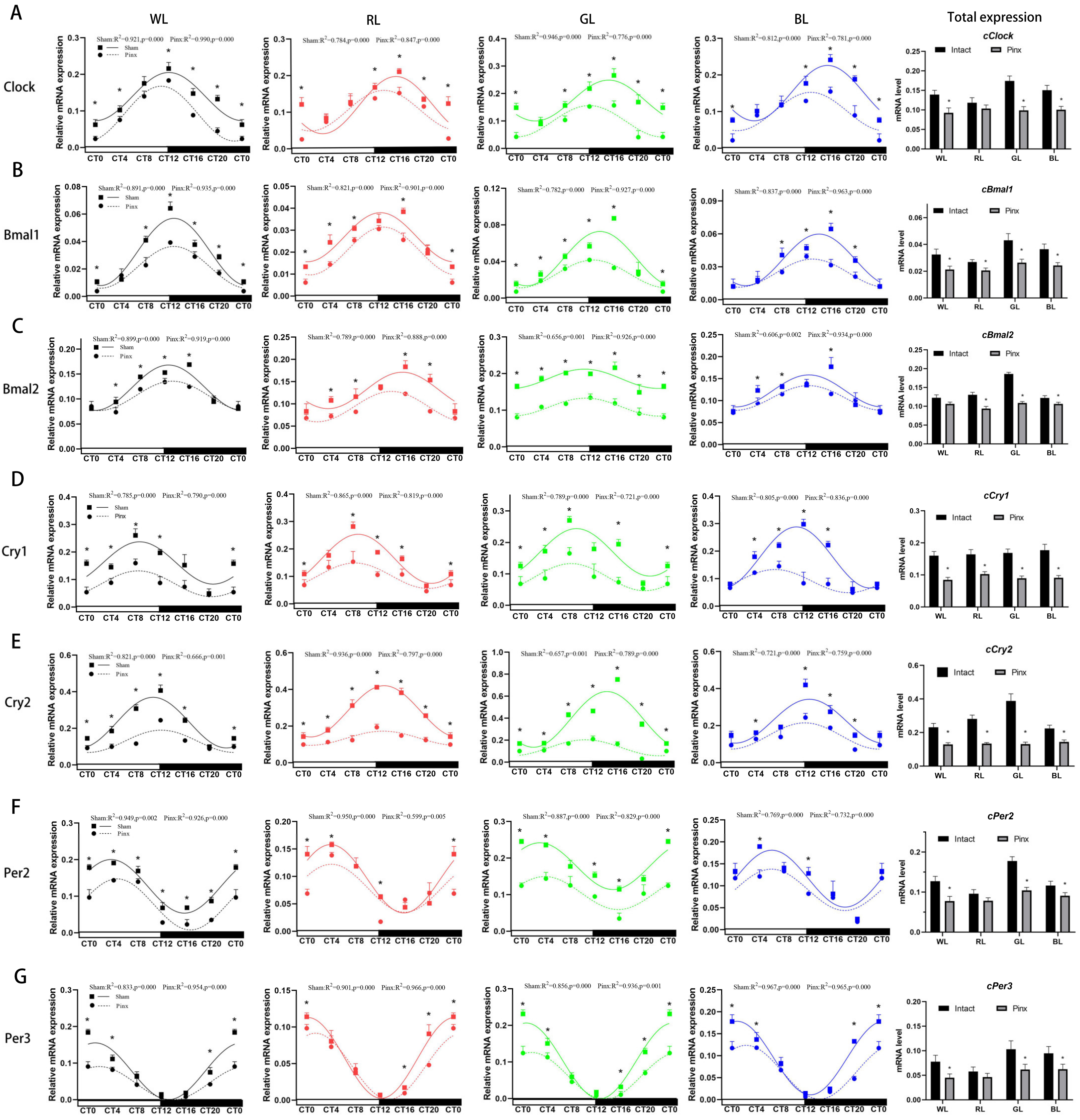 Ijms 24 02368 g005 Ijms 24 02368 g005