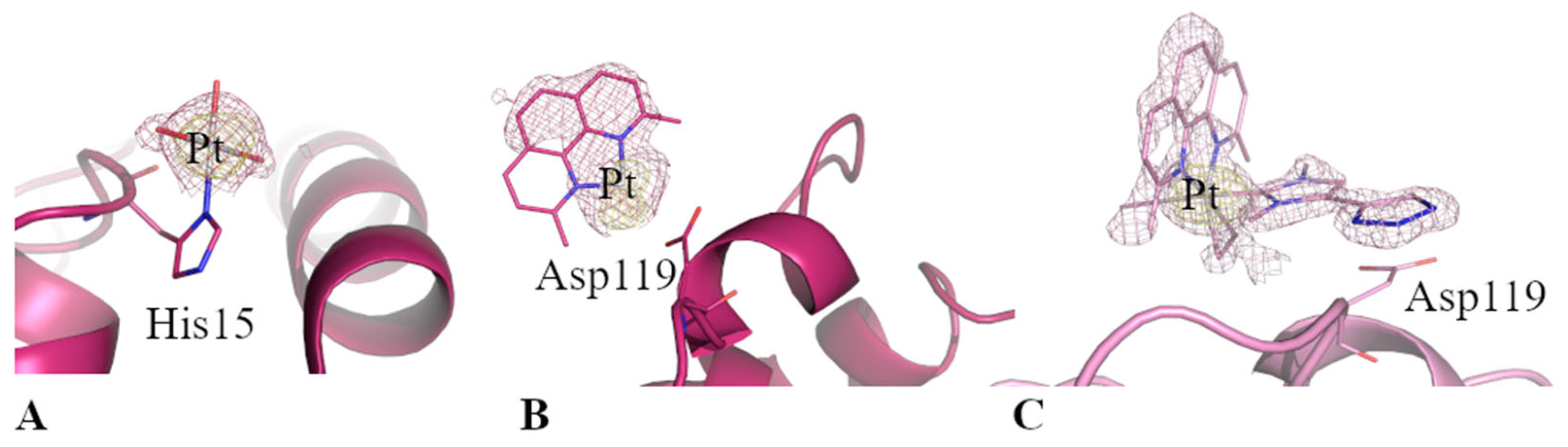 Ijms 24 02369 g009 Ijms 24 02369 g009