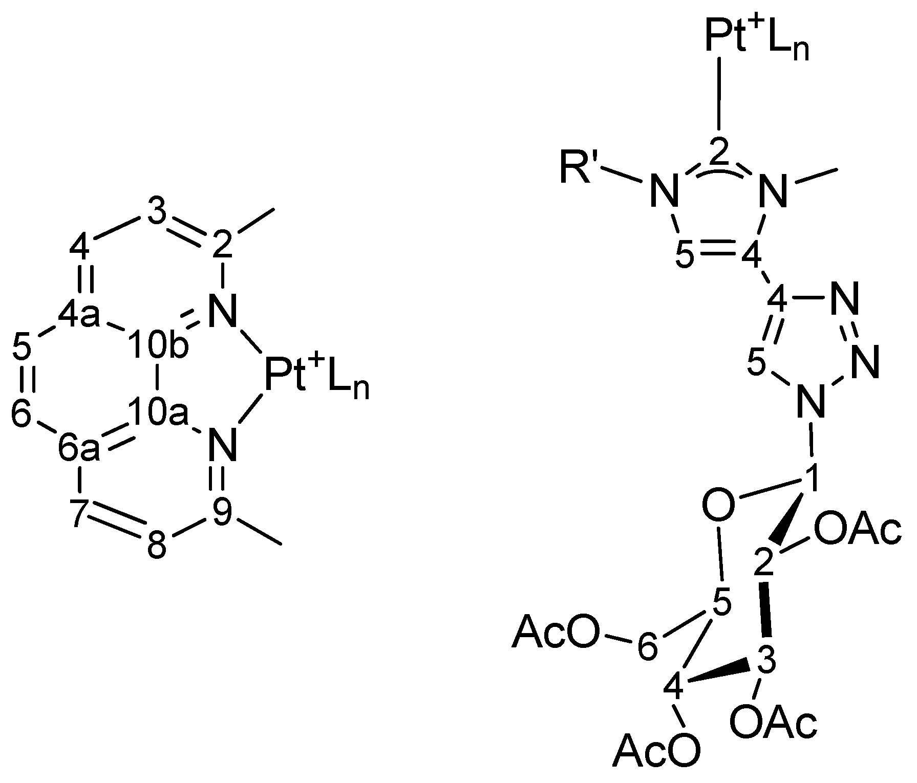Ijms 24 02369 g011 Ijms 24 02369 g011