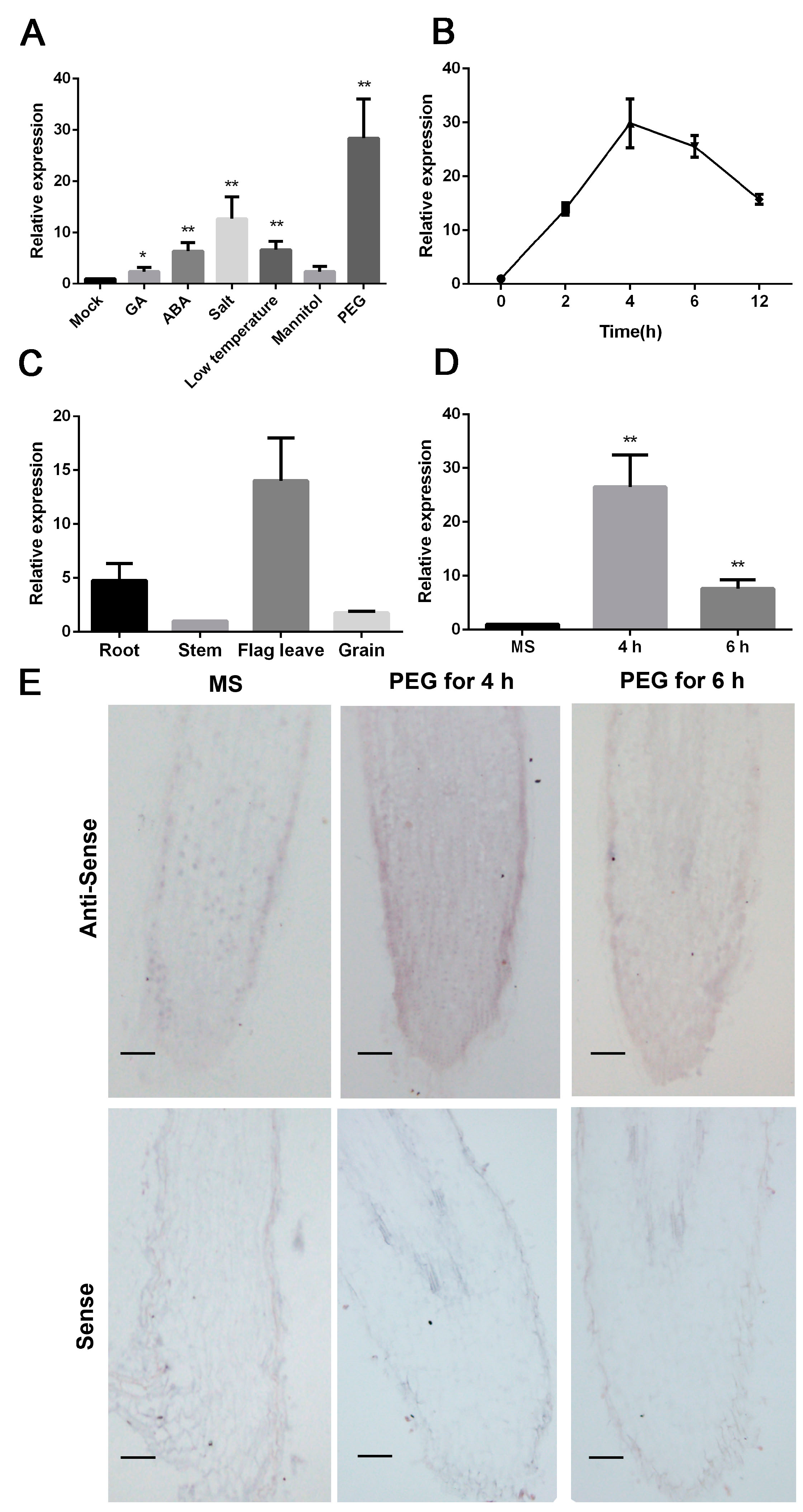 Ijms 24 02401 g001 Ijms 24 02401 g001