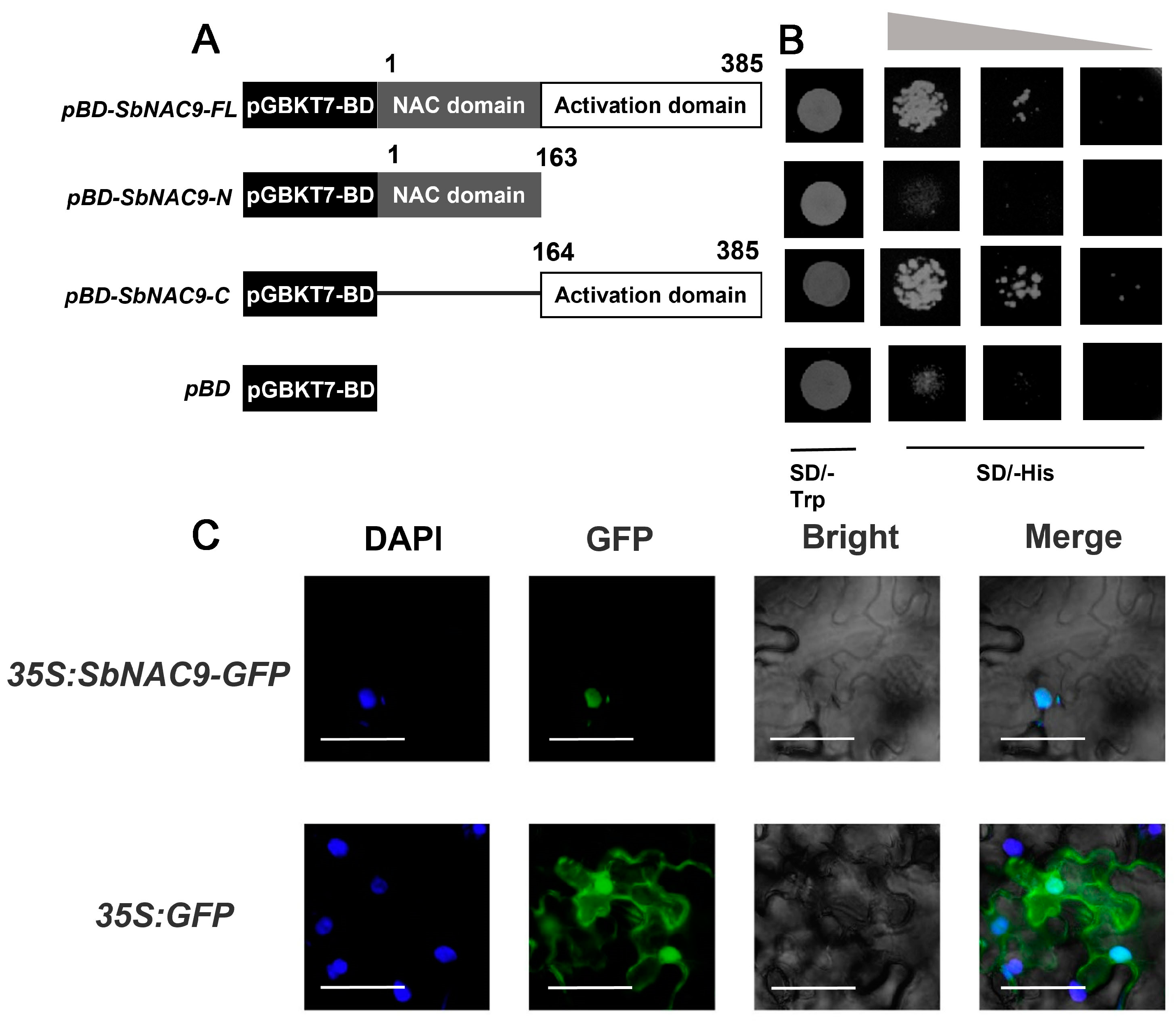 Ijms 24 02401 g002 Ijms 24 02401 g002