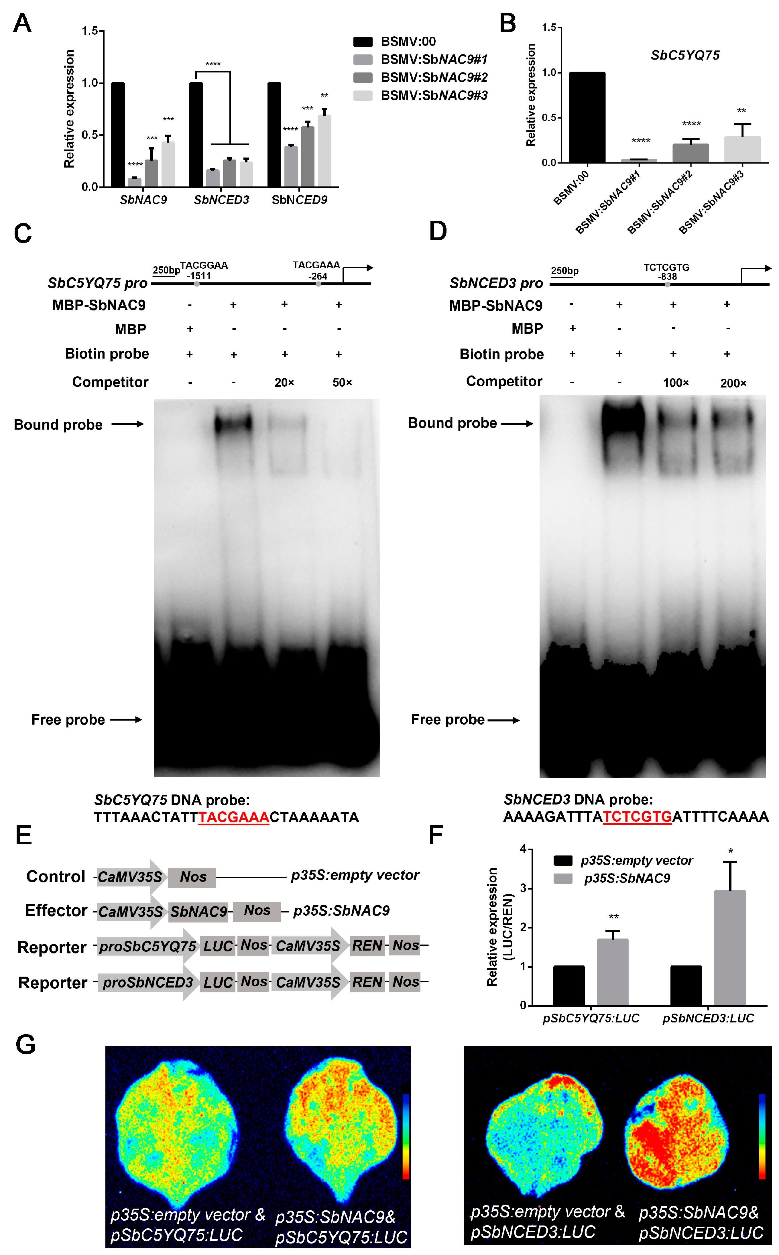 Ijms 24 02401 g005 Ijms 24 02401 g005