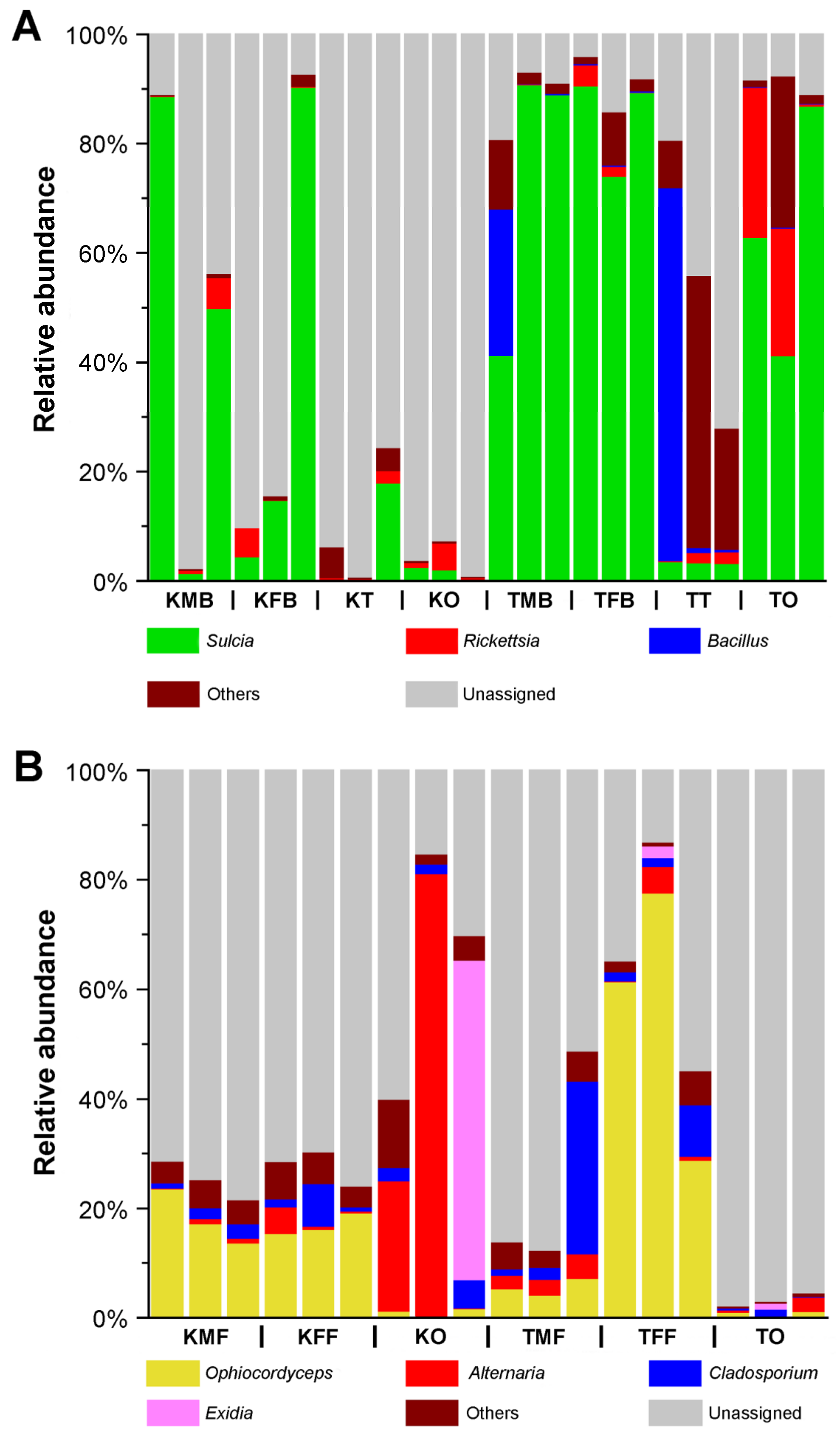 Ijms 24 02434 g002 Ijms 24 02434 g002