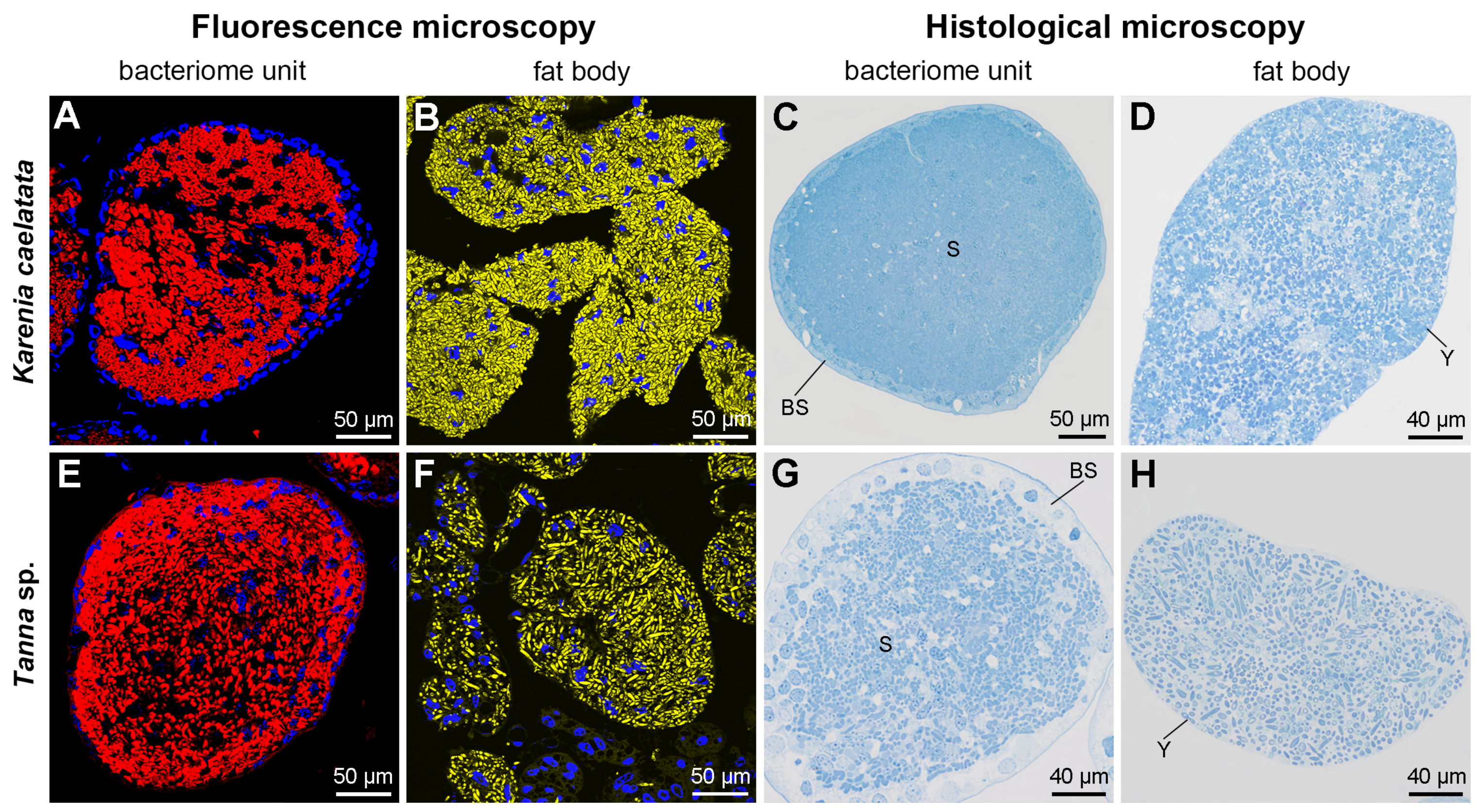 Ijms 24 02434 g003 Ijms 24 02434 g003