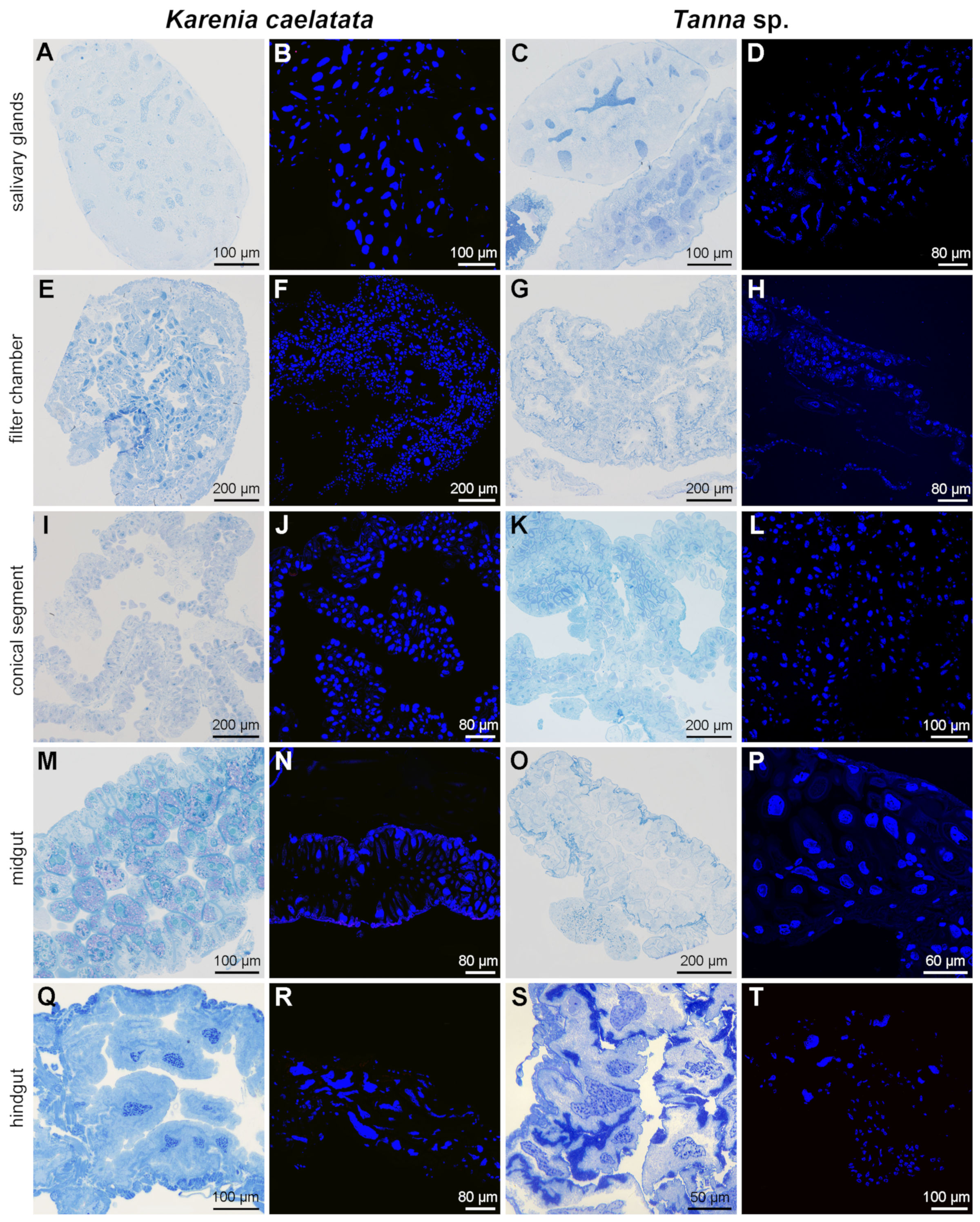 Ijms 24 02434 g005 Ijms 24 02434 g005