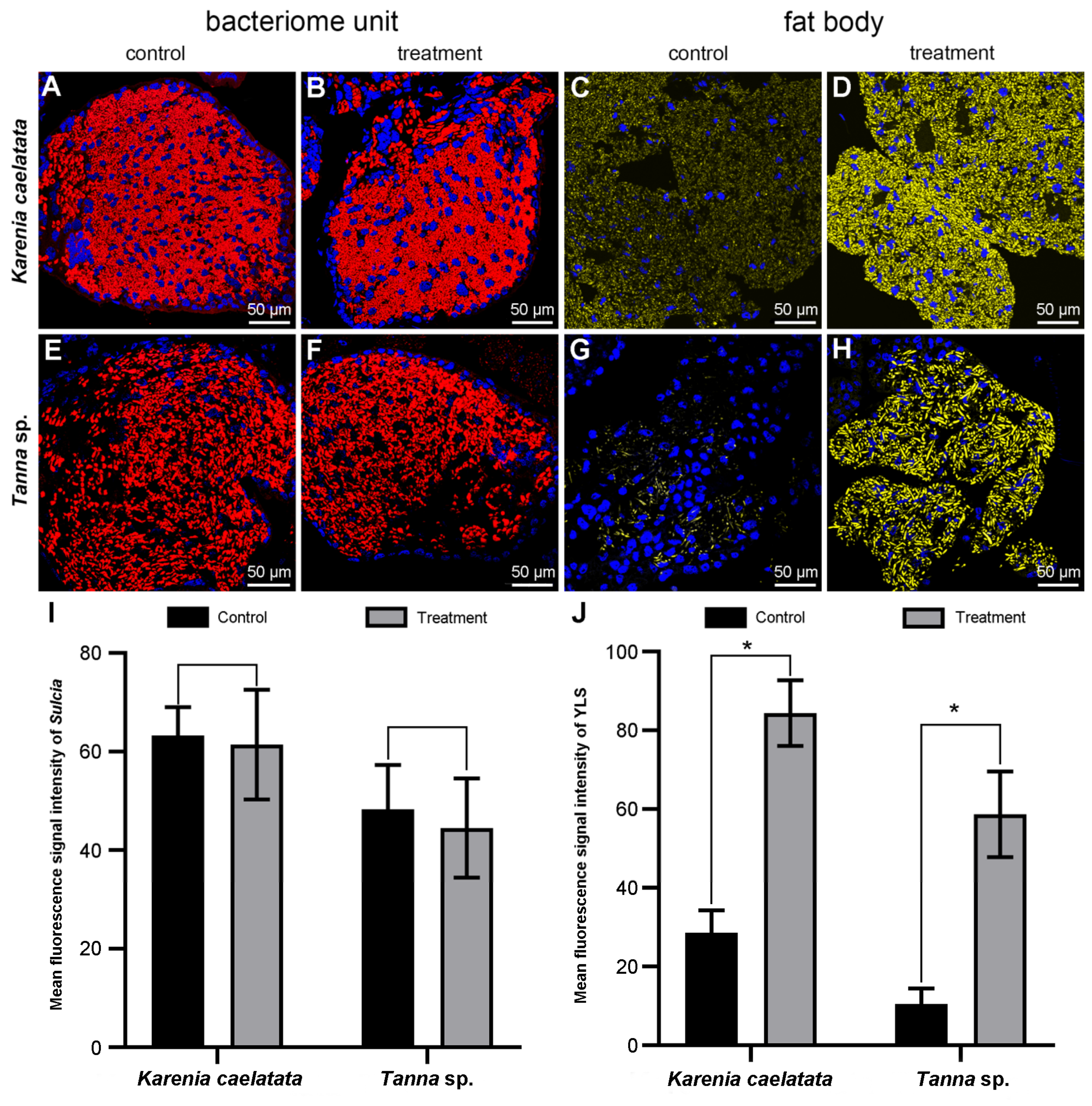 Ijms 24 02434 g006 Ijms 24 02434 g006