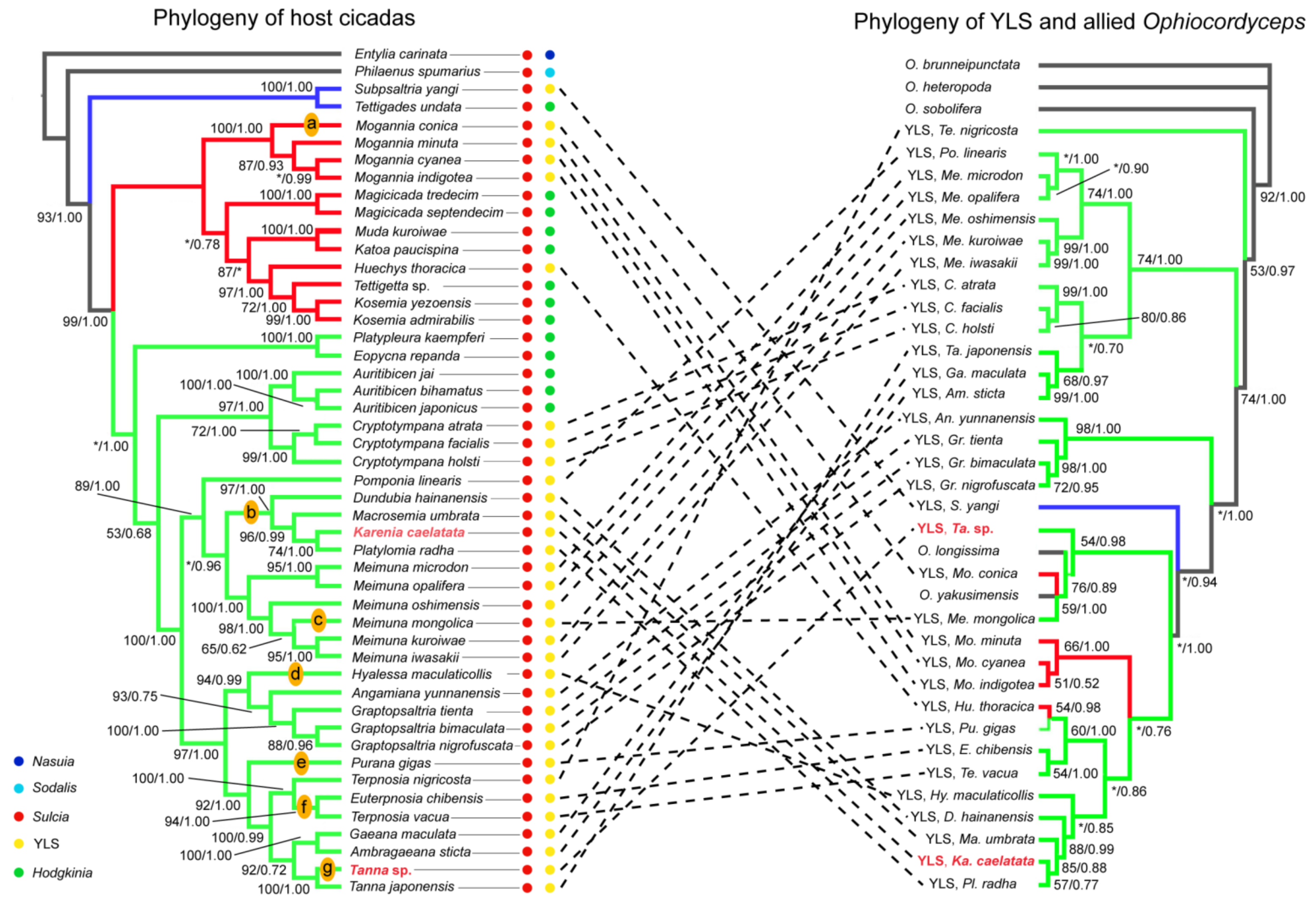 Ijms 24 02434 g008 Ijms 24 02434 g008
