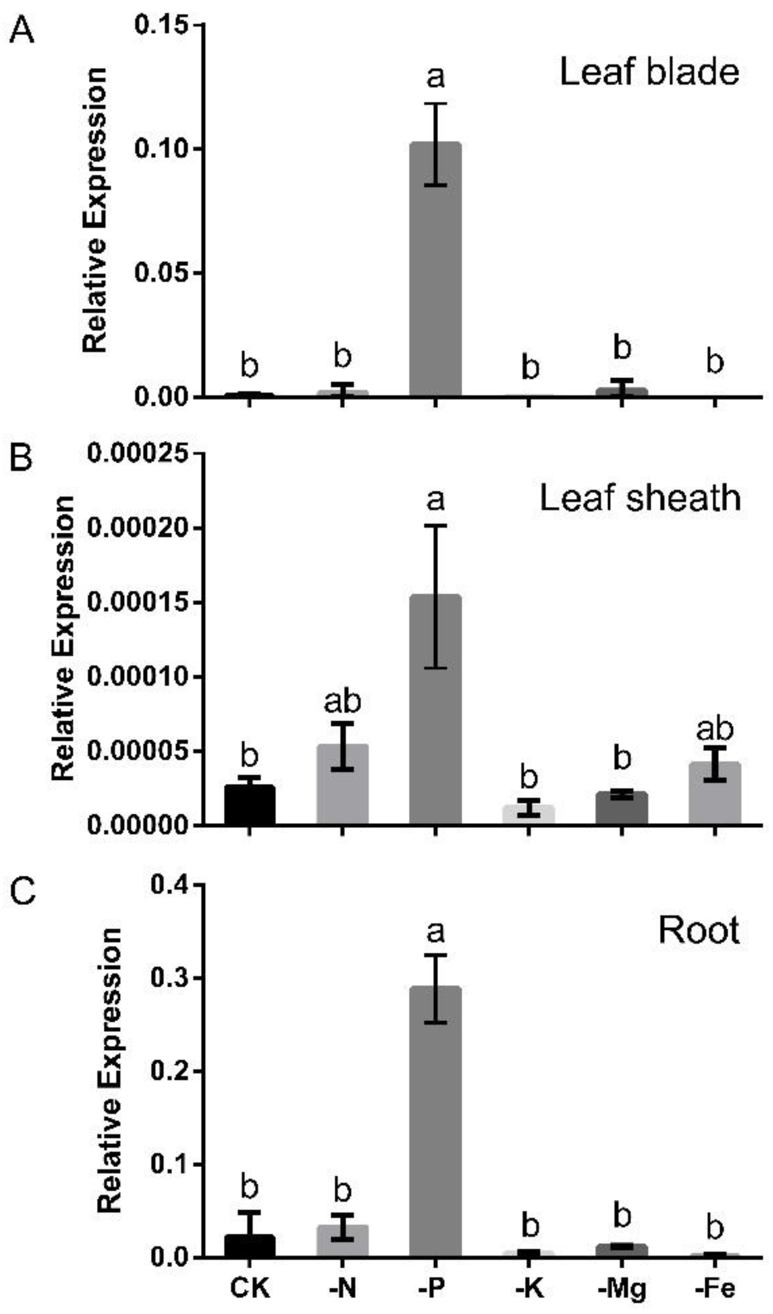 Ijms 24 02437 g001 Ijms 24 02437 g001