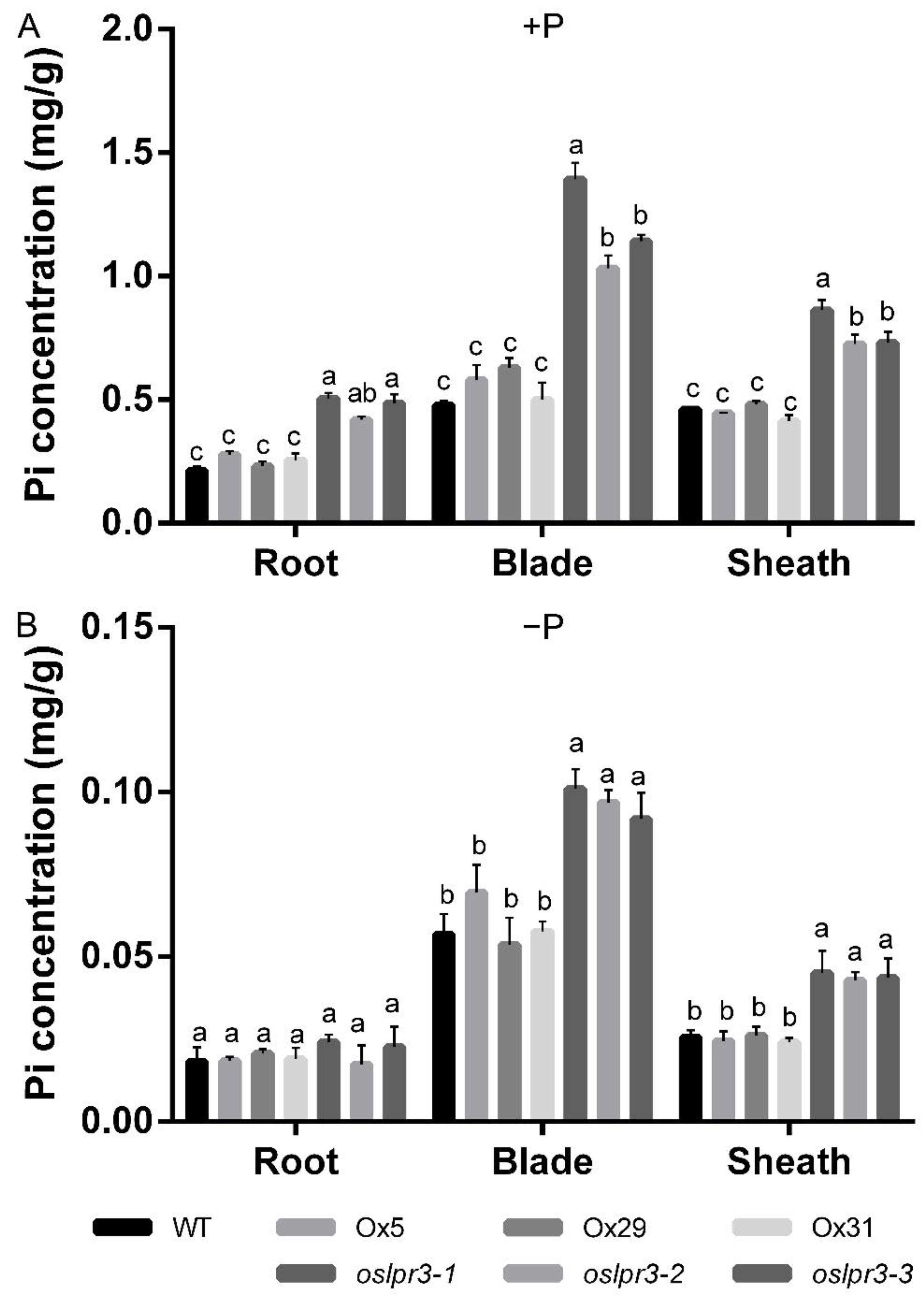 Ijms 24 02437 g006 Ijms 24 02437 g006