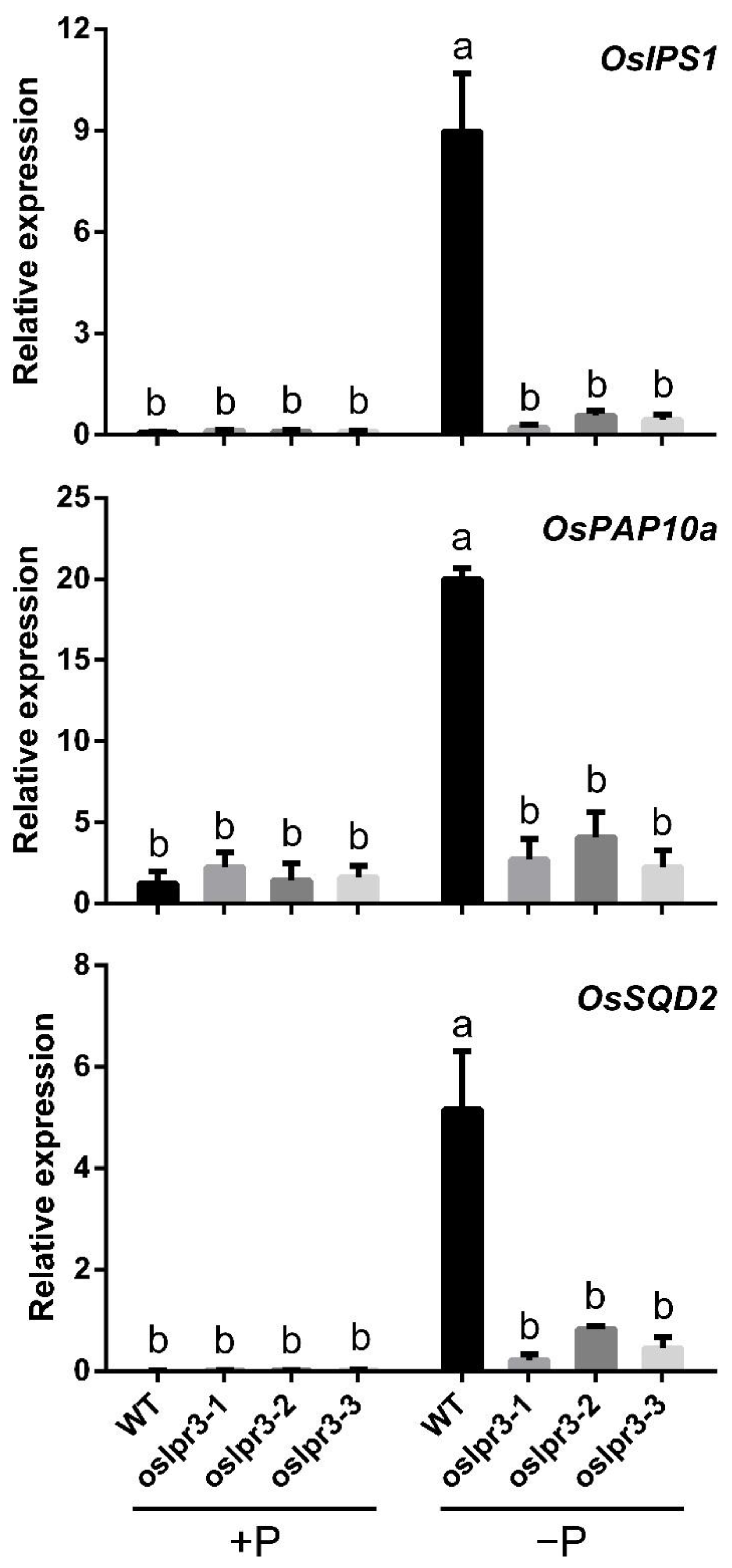 Ijms 24 02437 g008 Ijms 24 02437 g008