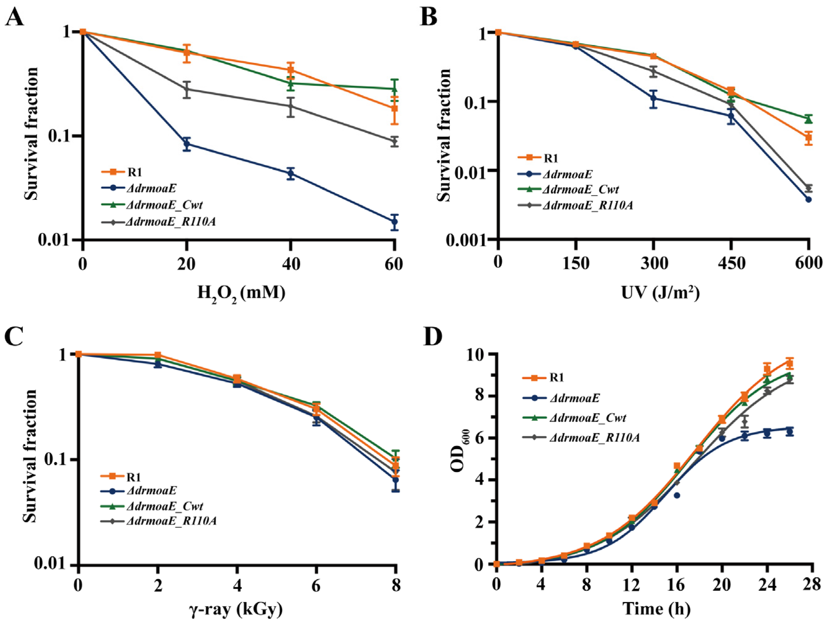 Ijms 24 02441 g003 Ijms 24 02441 g003