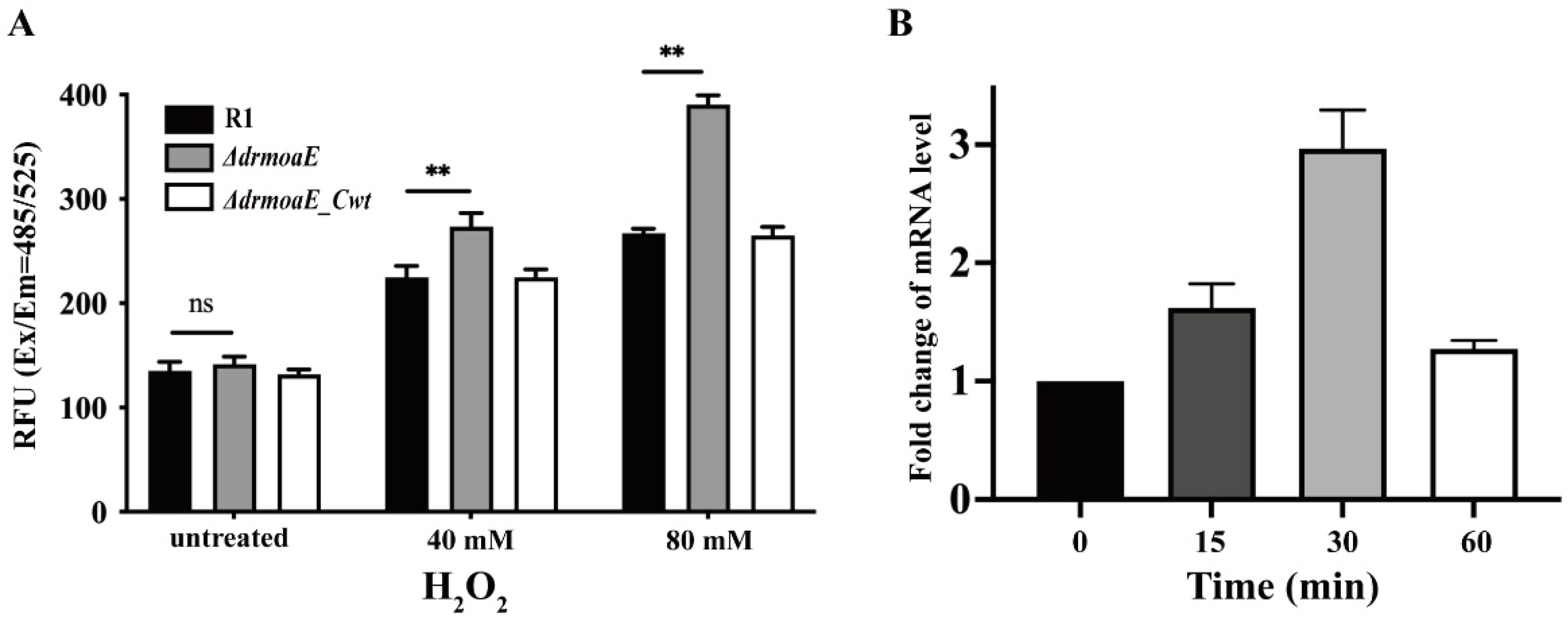 Ijms 24 02441 g004 Ijms 24 02441 g004
