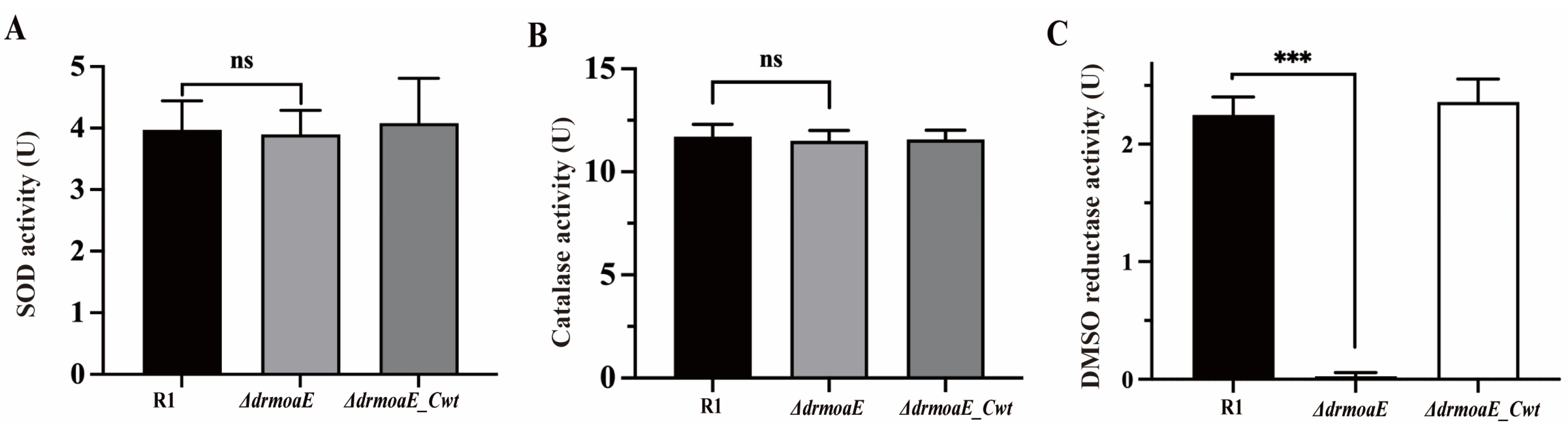 Ijms 24 02441 g005 Ijms 24 02441 g005