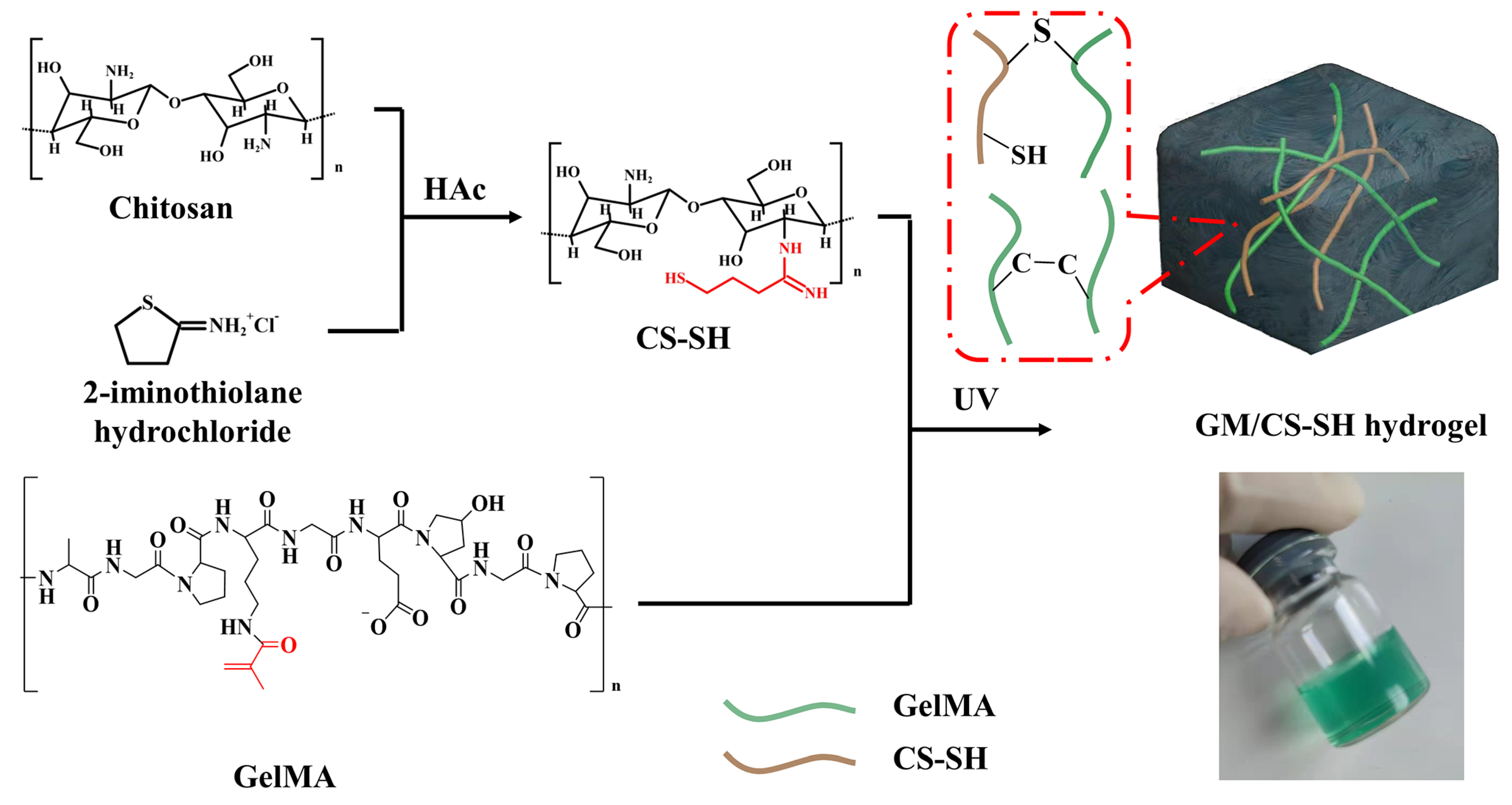 Ijms 24 02447 g001 Ijms 24 02447 g001