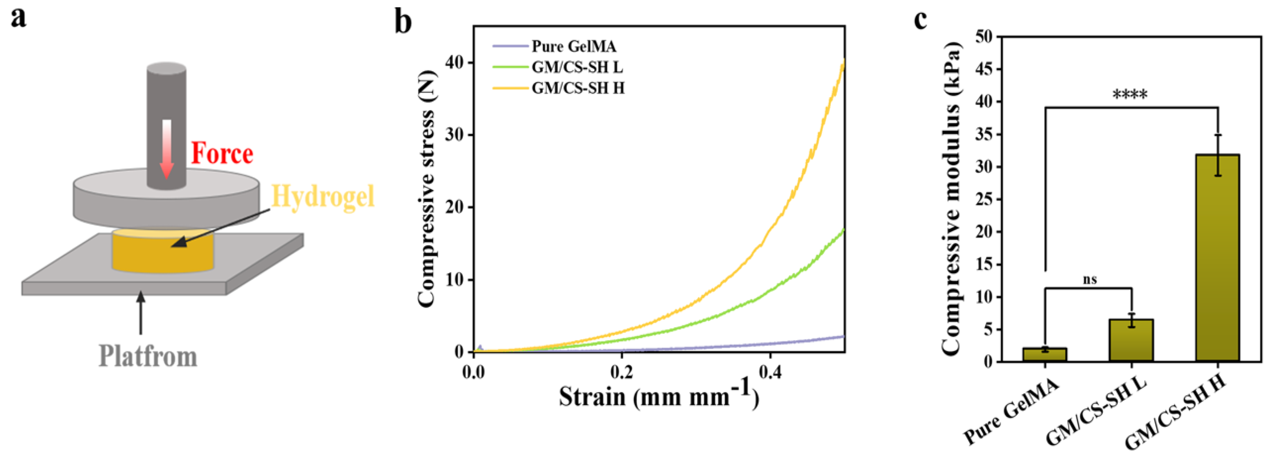 Ijms 24 02447 g003 Ijms 24 02447 g003