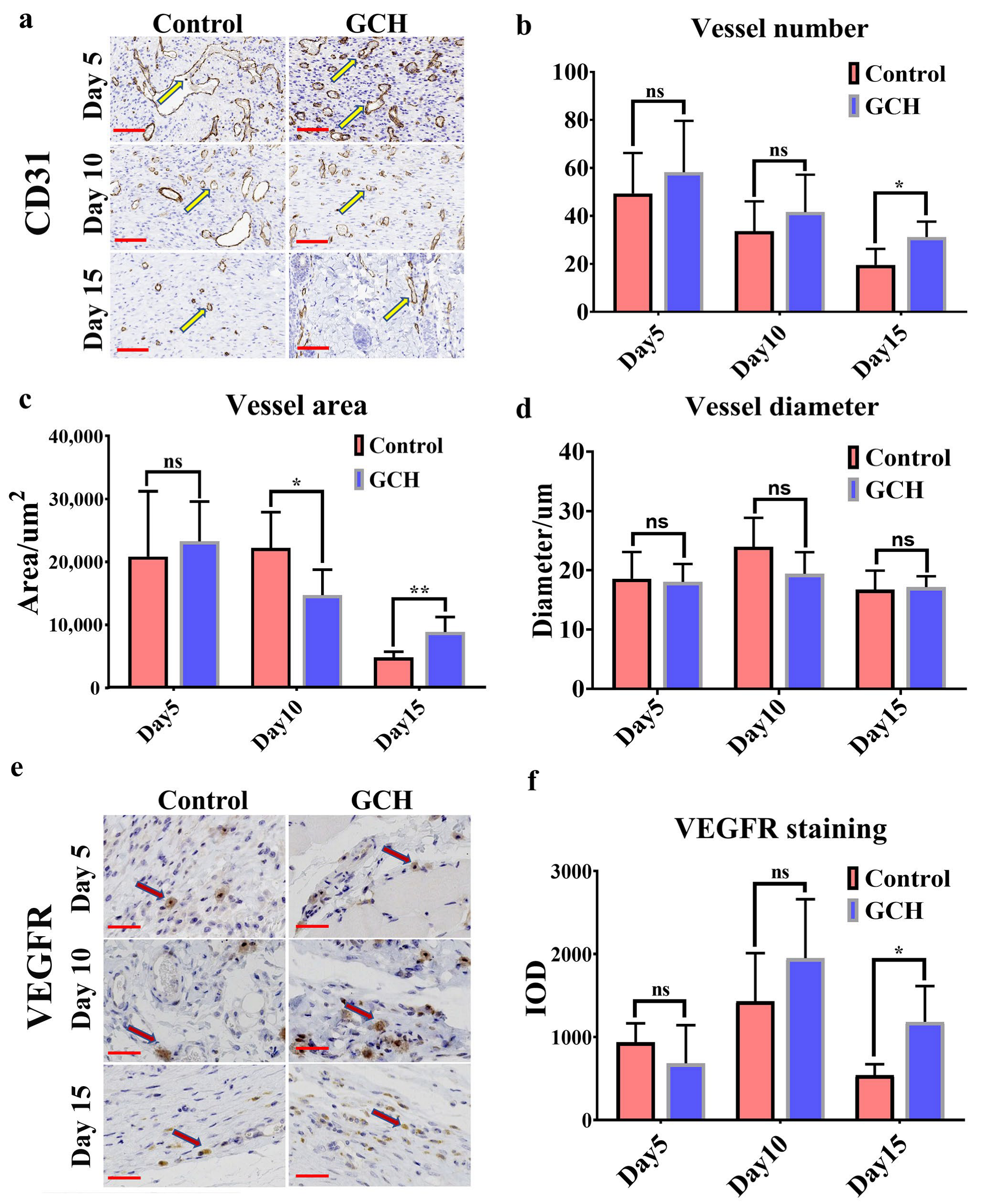 Ijms 24 02447 g006 Ijms 24 02447 g006