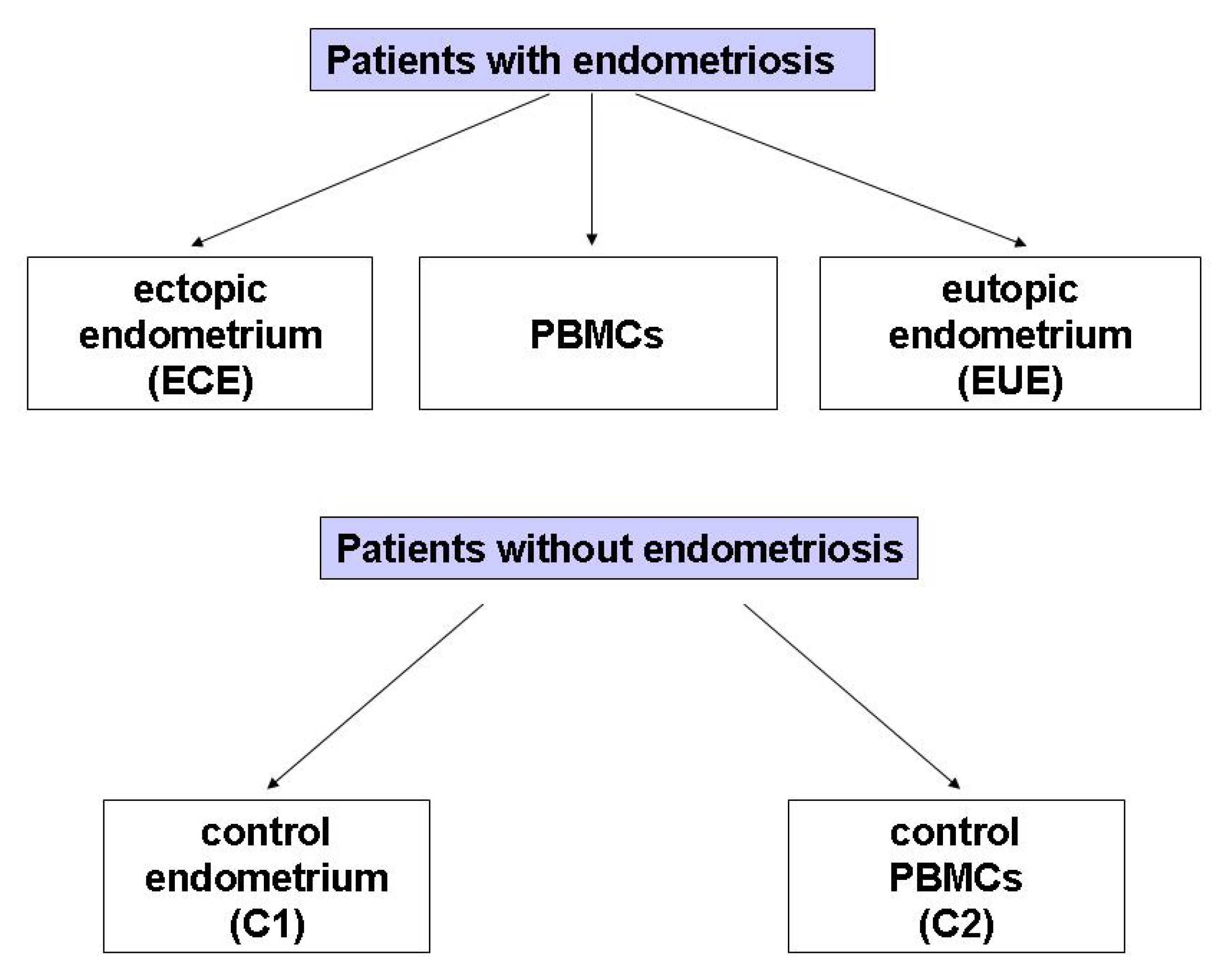 Ijms 24 02453 g003 Ijms 24 02453 g003