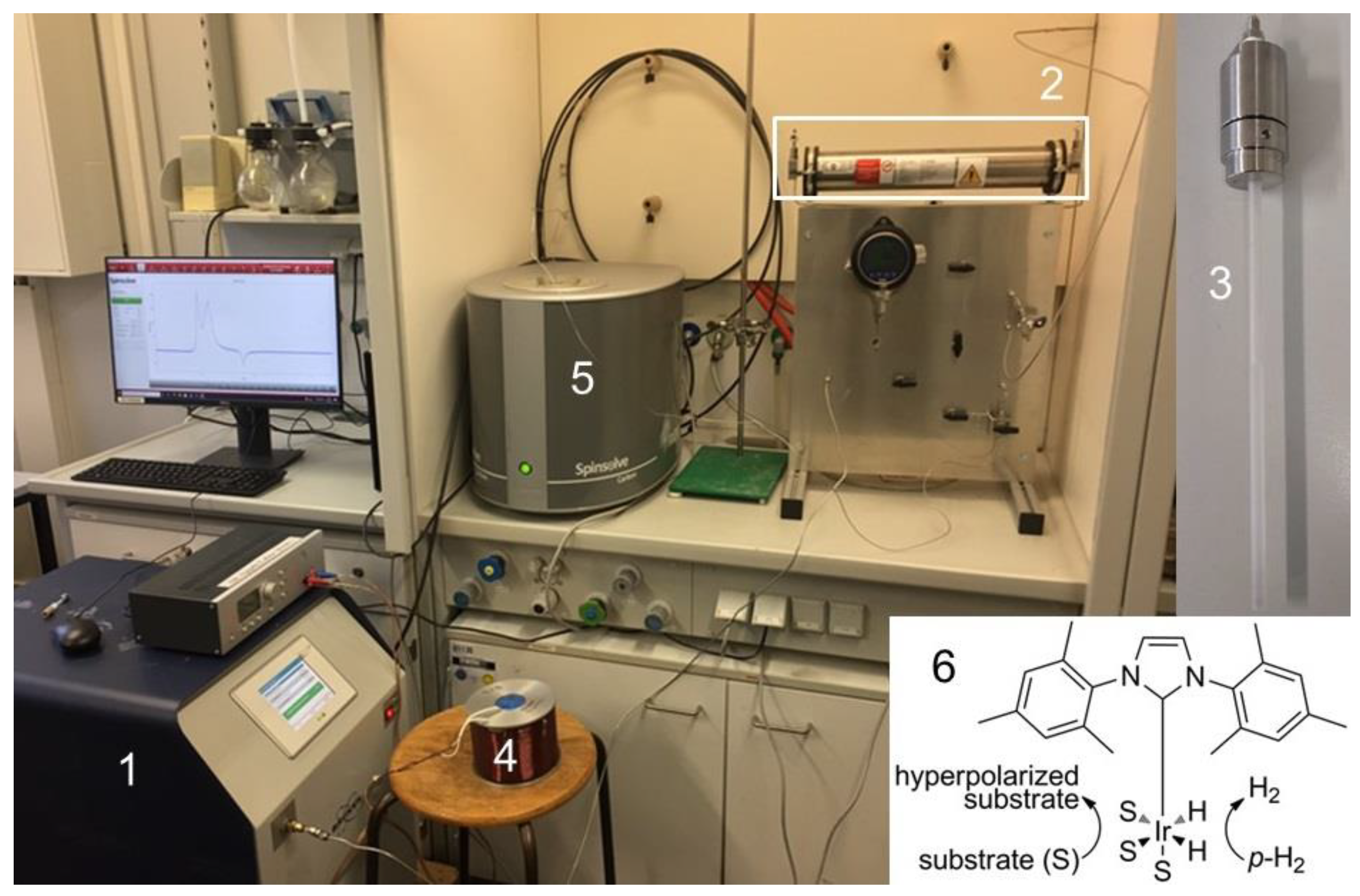 Ijms 24 02465 g001 Ijms 24 02465 g001