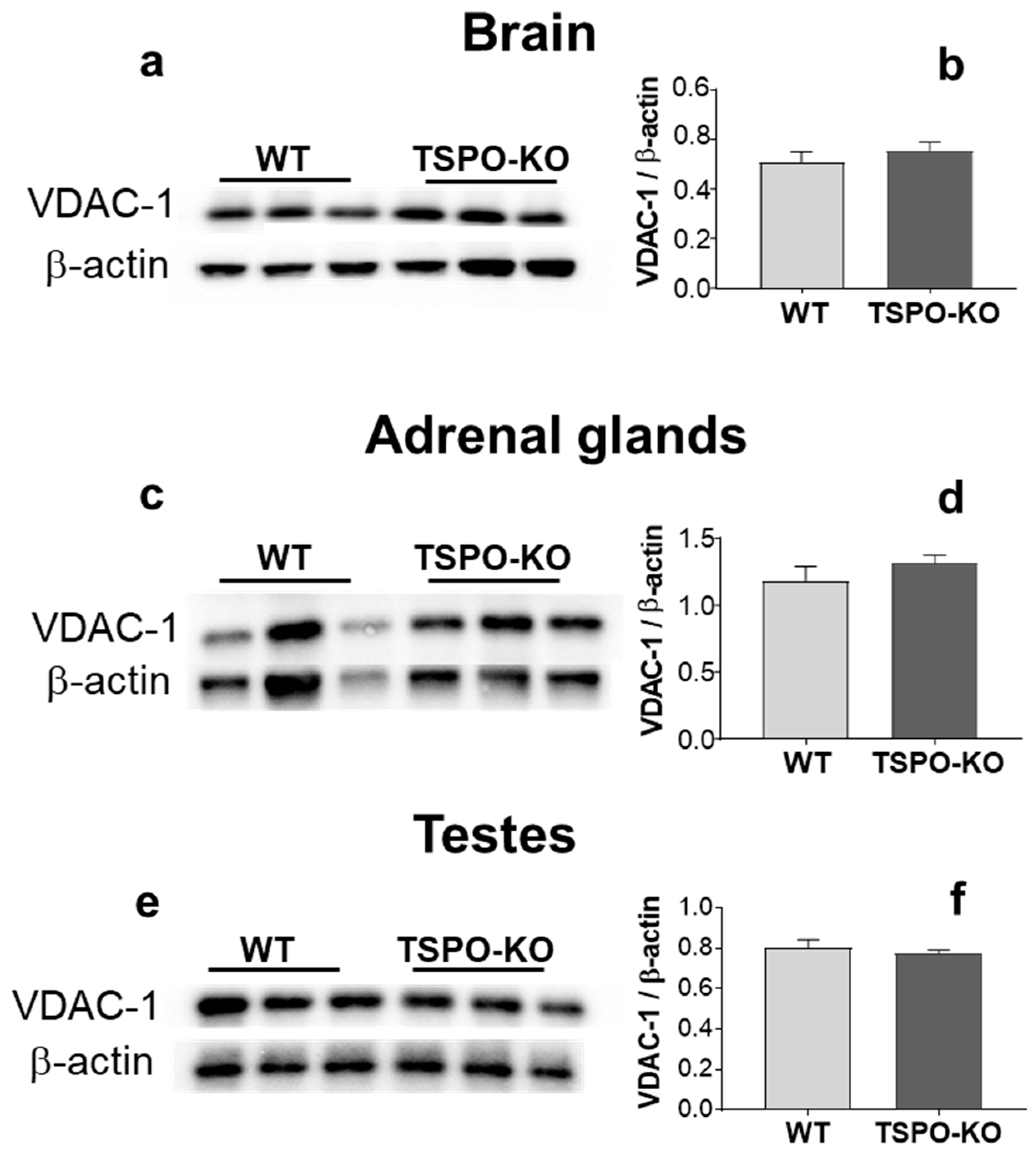 Ijms 24 02474 g008 Ijms 24 02474 g008