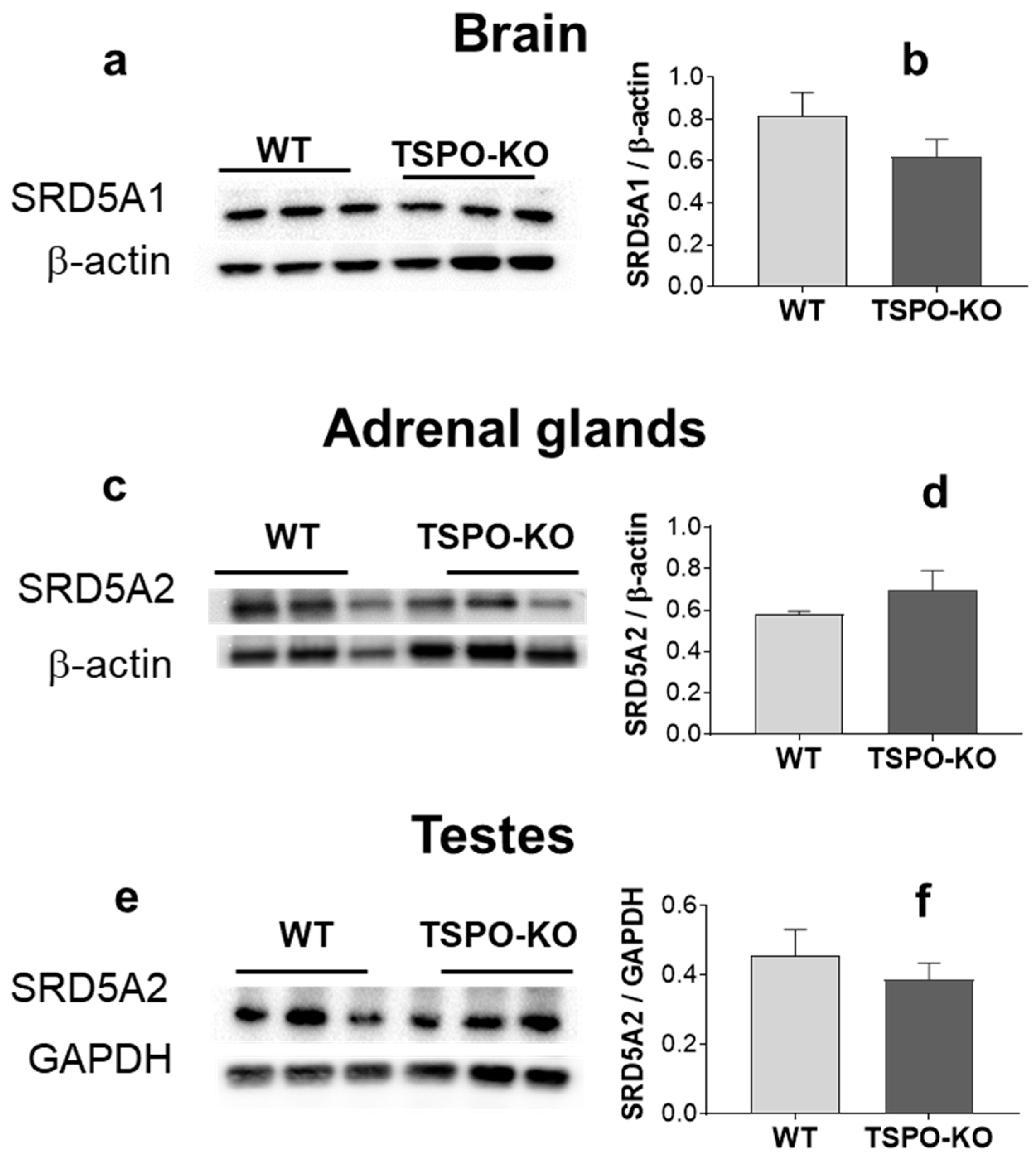 Ijms 24 02474 g010 Ijms 24 02474 g010