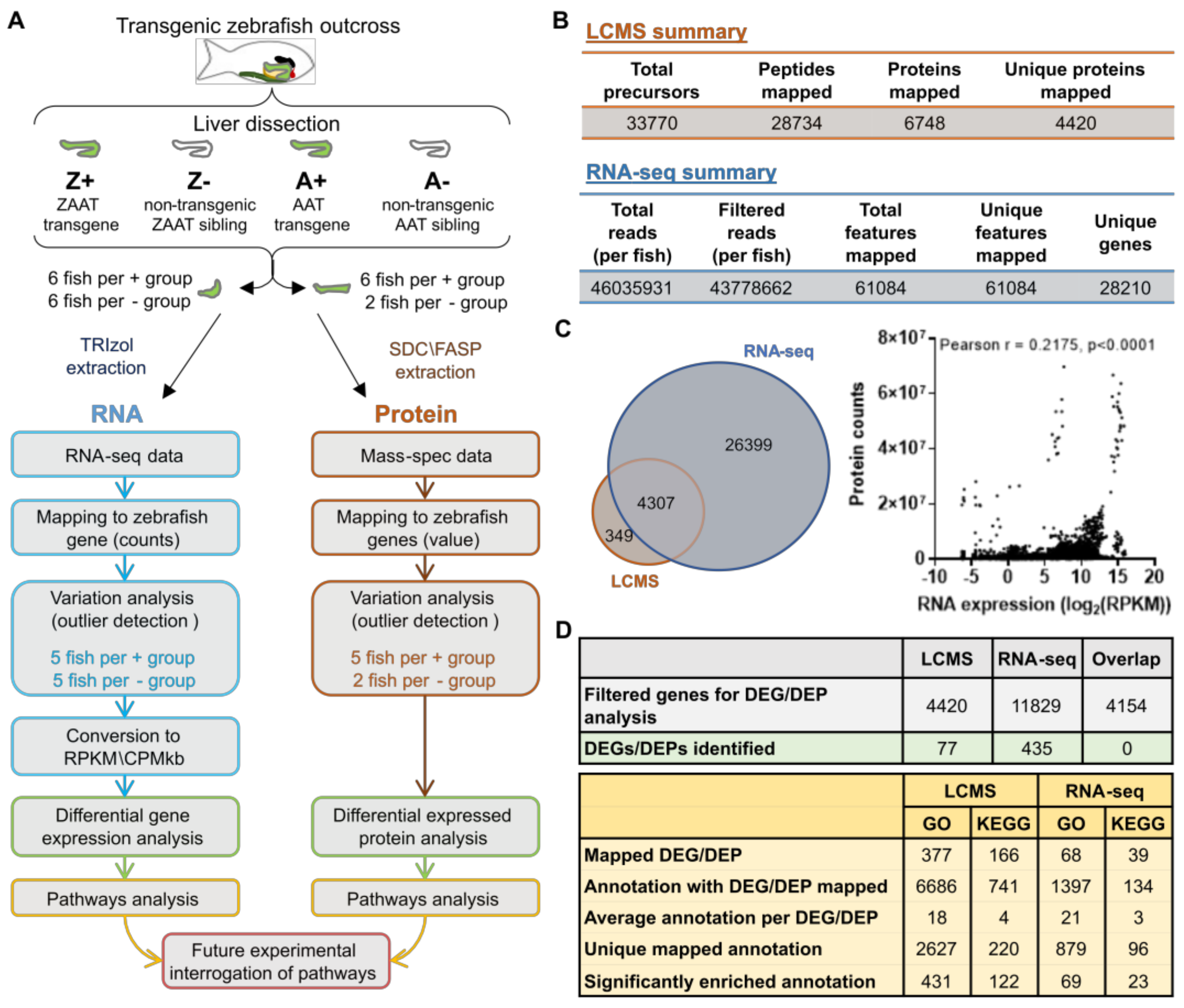 Ijms 24 02475 g001 Ijms 24 02475 g001