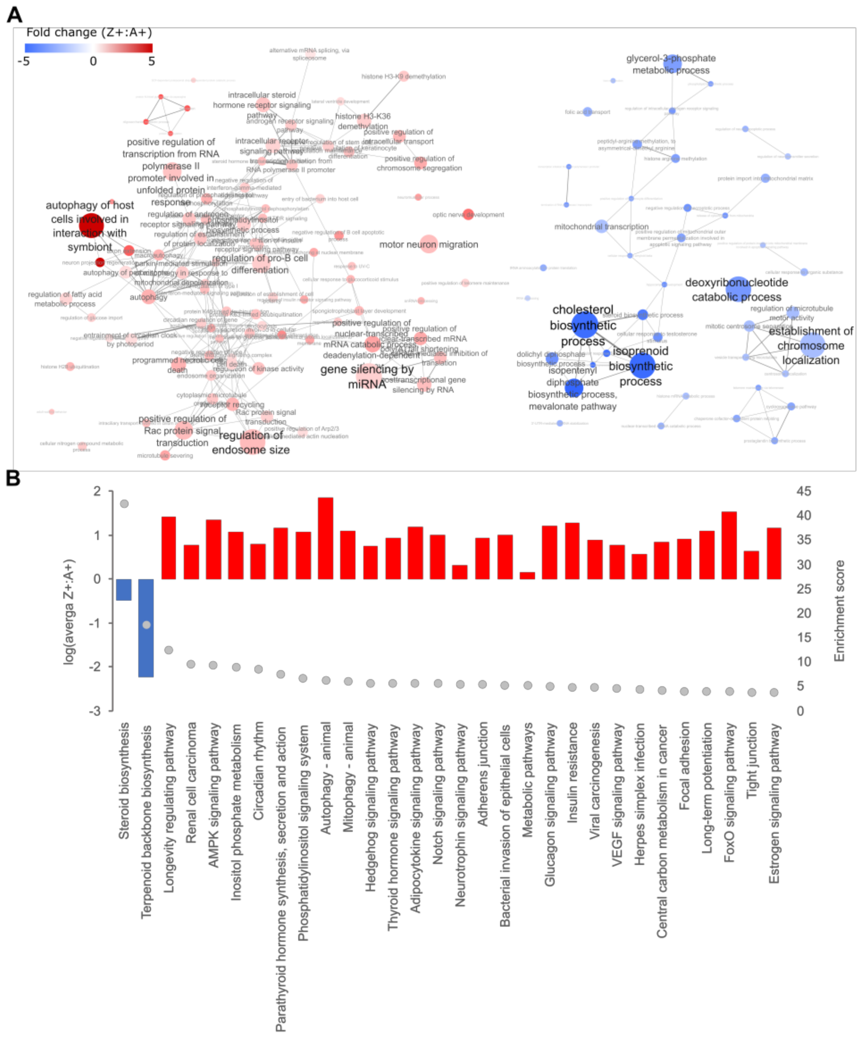 Ijms 24 02475 g002 Ijms 24 02475 g002