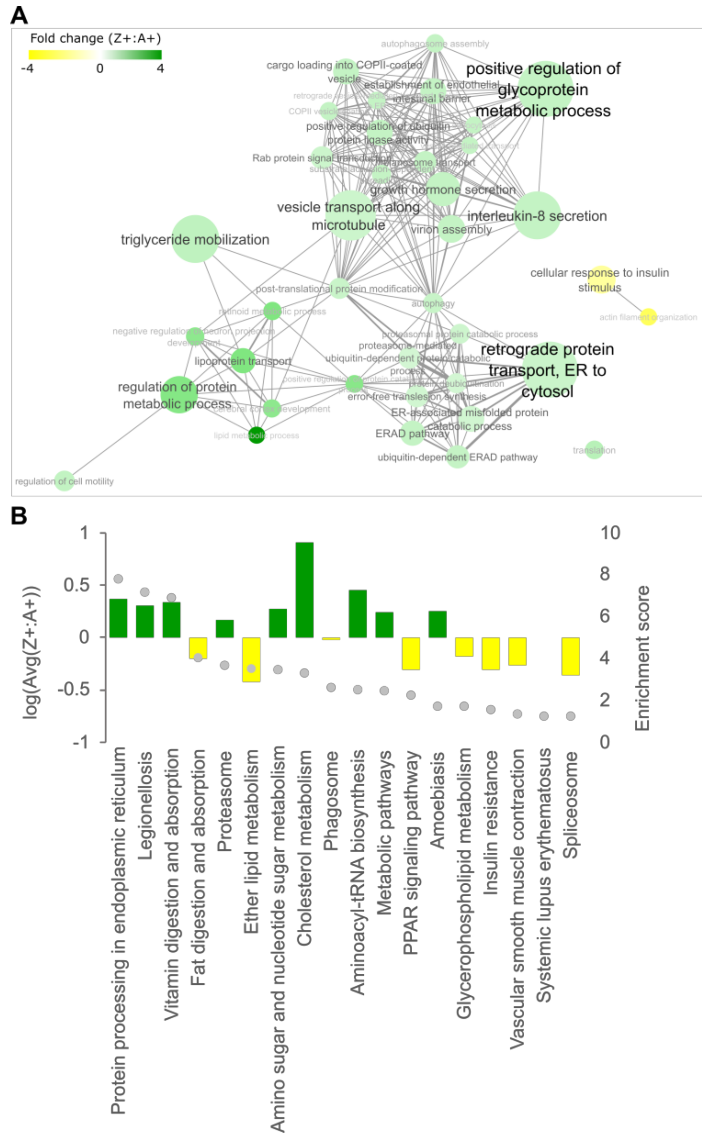 Ijms 24 02475 g003 Ijms 24 02475 g003
