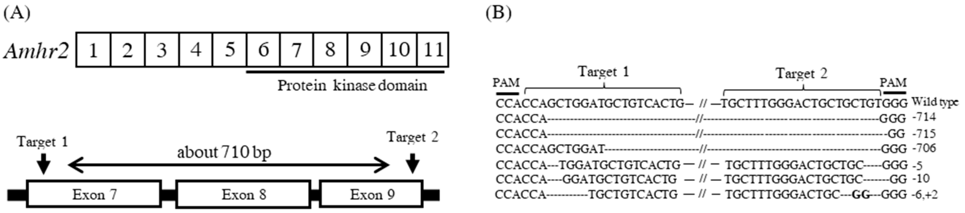 Ijms 24 02480 g002 Ijms 24 02480 g002