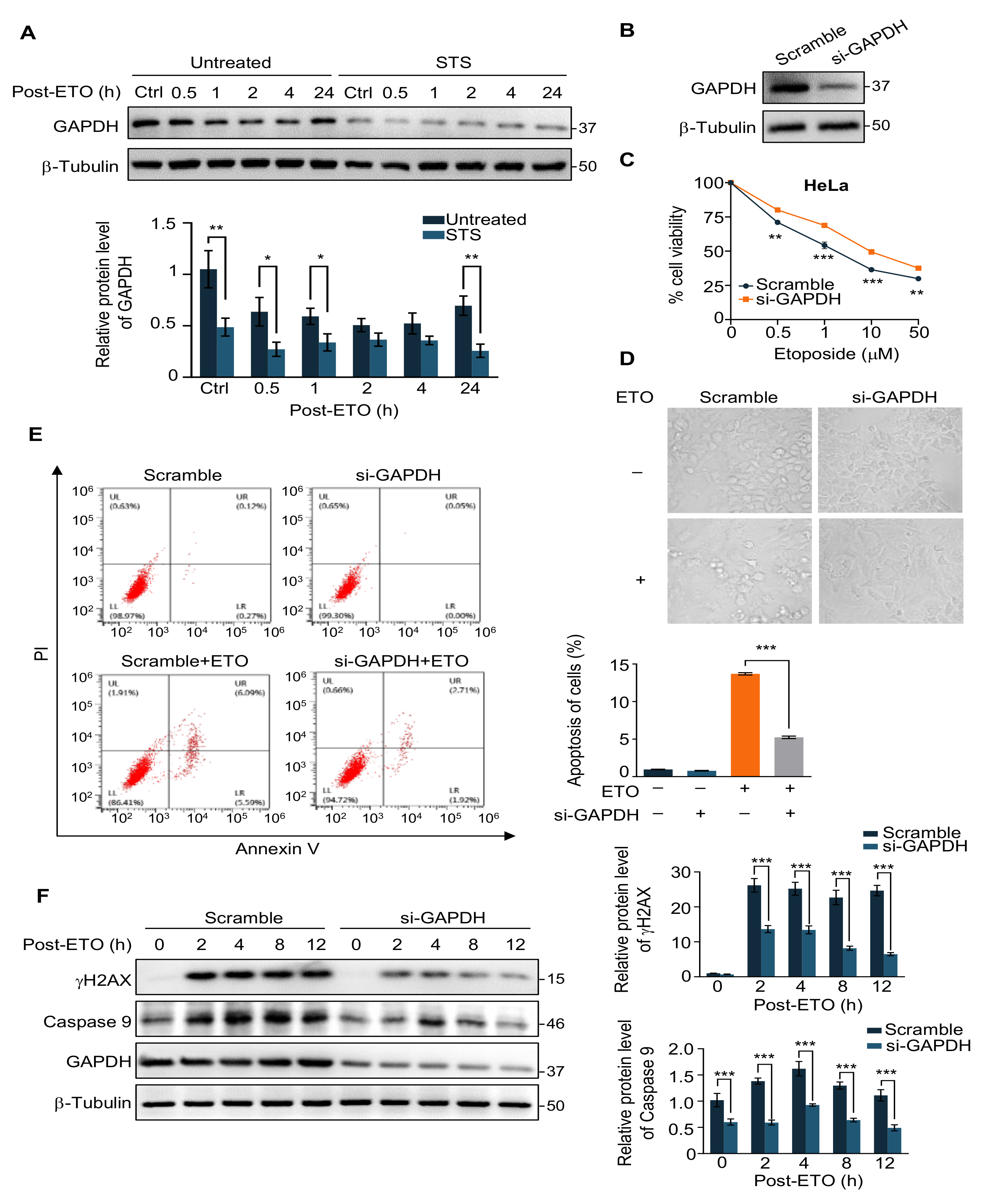Ijms 24 02498 g002 Ijms 24 02498 g002