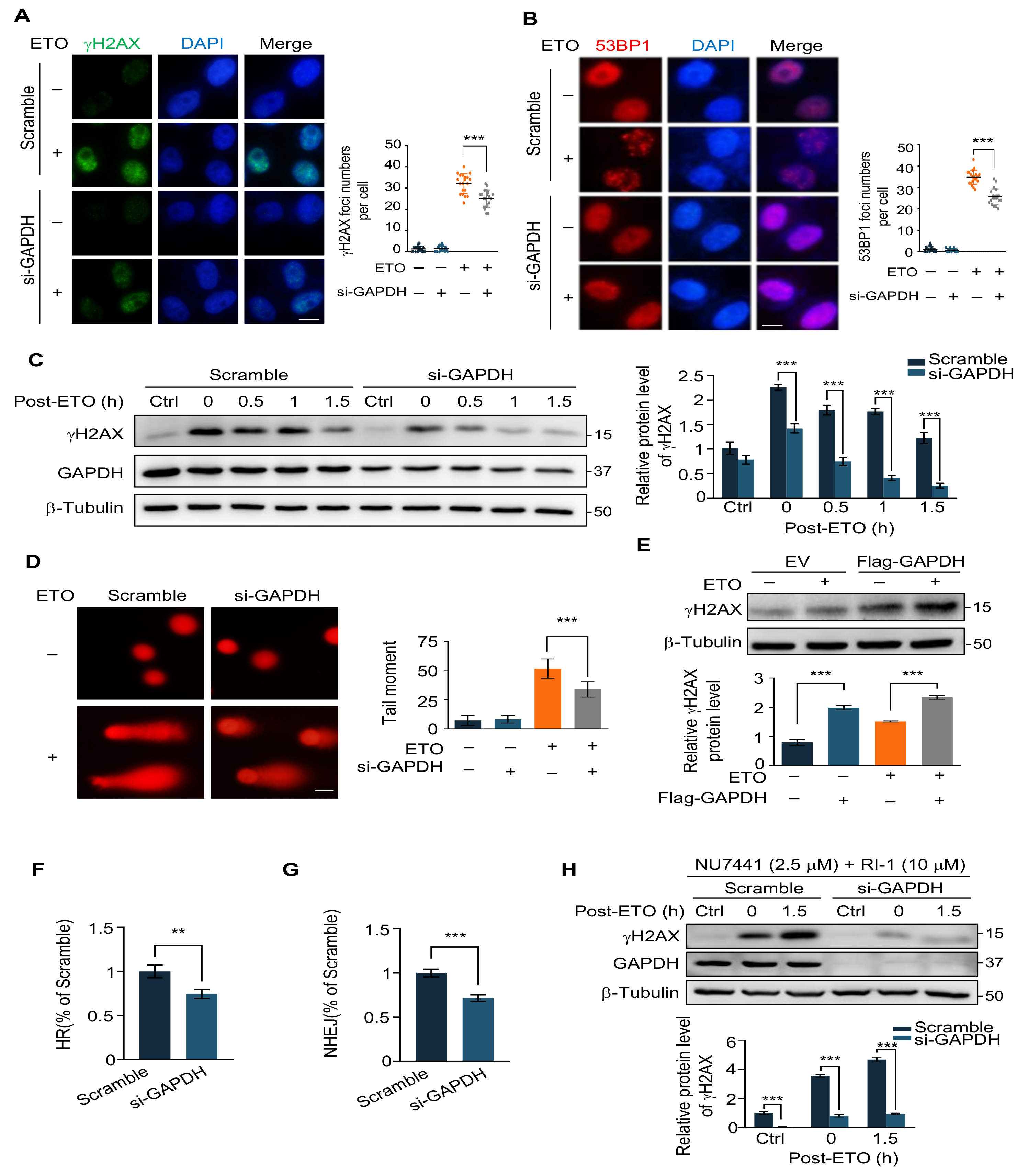 Ijms 24 02498 g003 Ijms 24 02498 g003