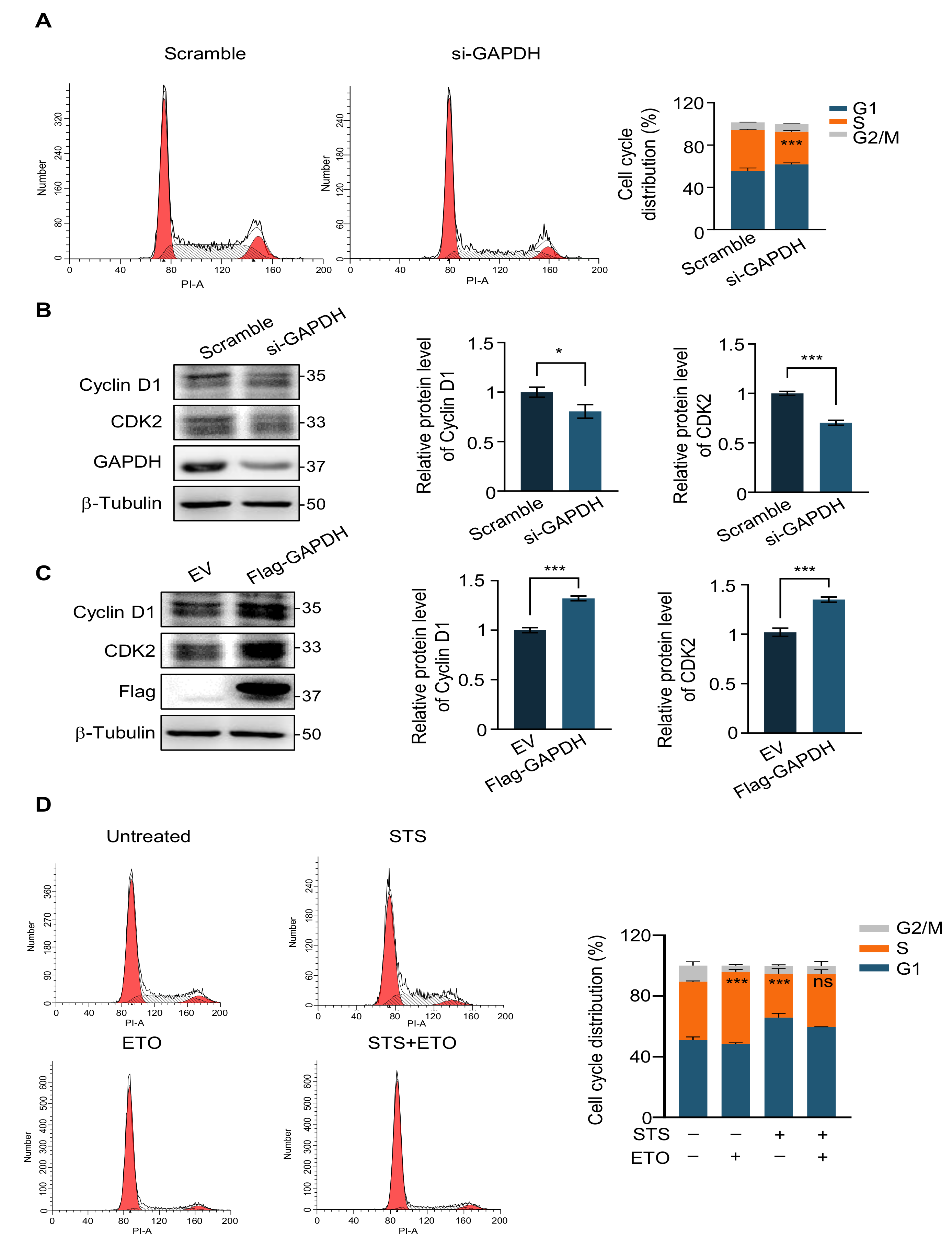 Ijms 24 02498 g004 Ijms 24 02498 g004
