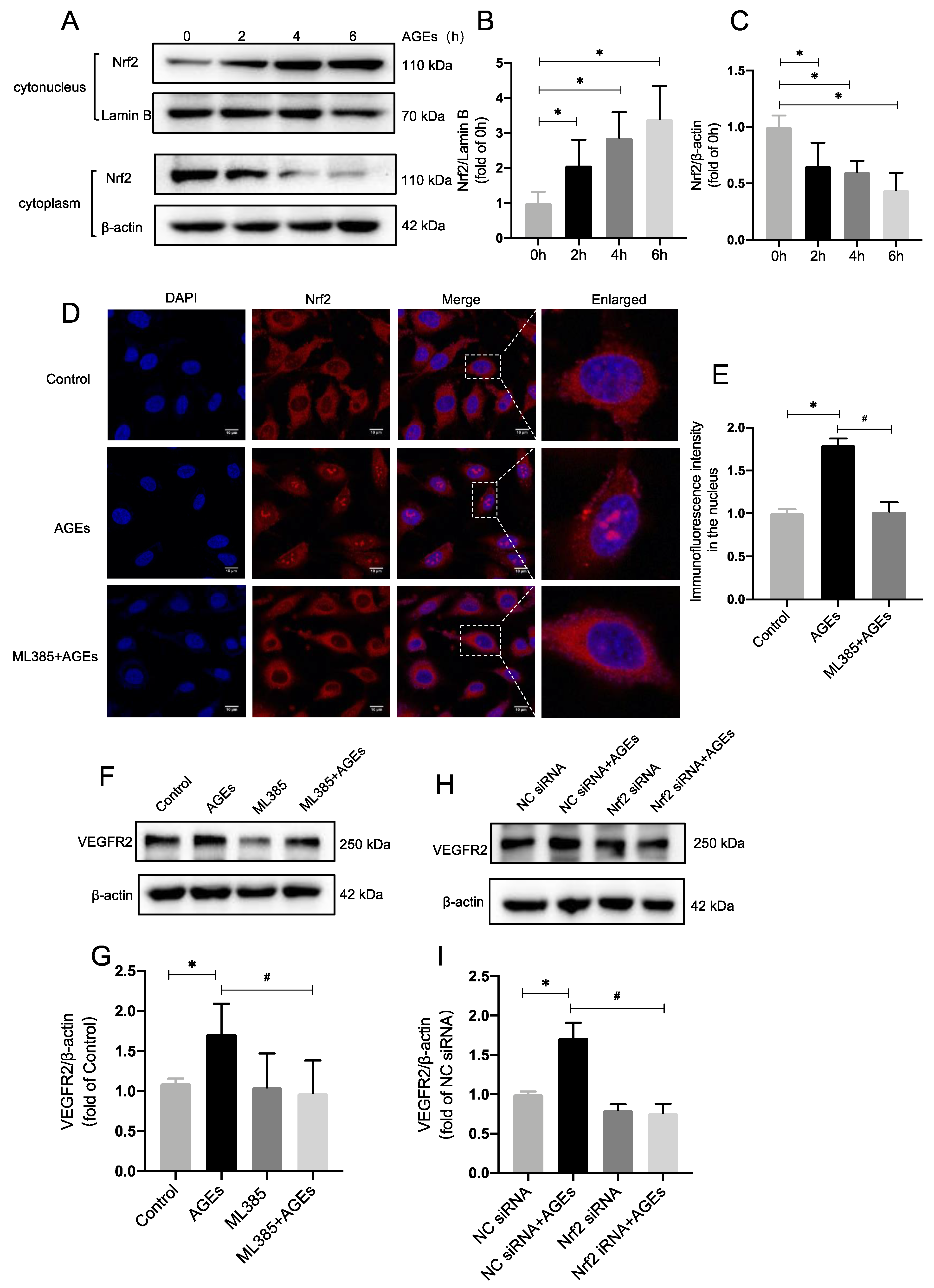 Ijms 24 02544 g001 Ijms 24 02544 g001