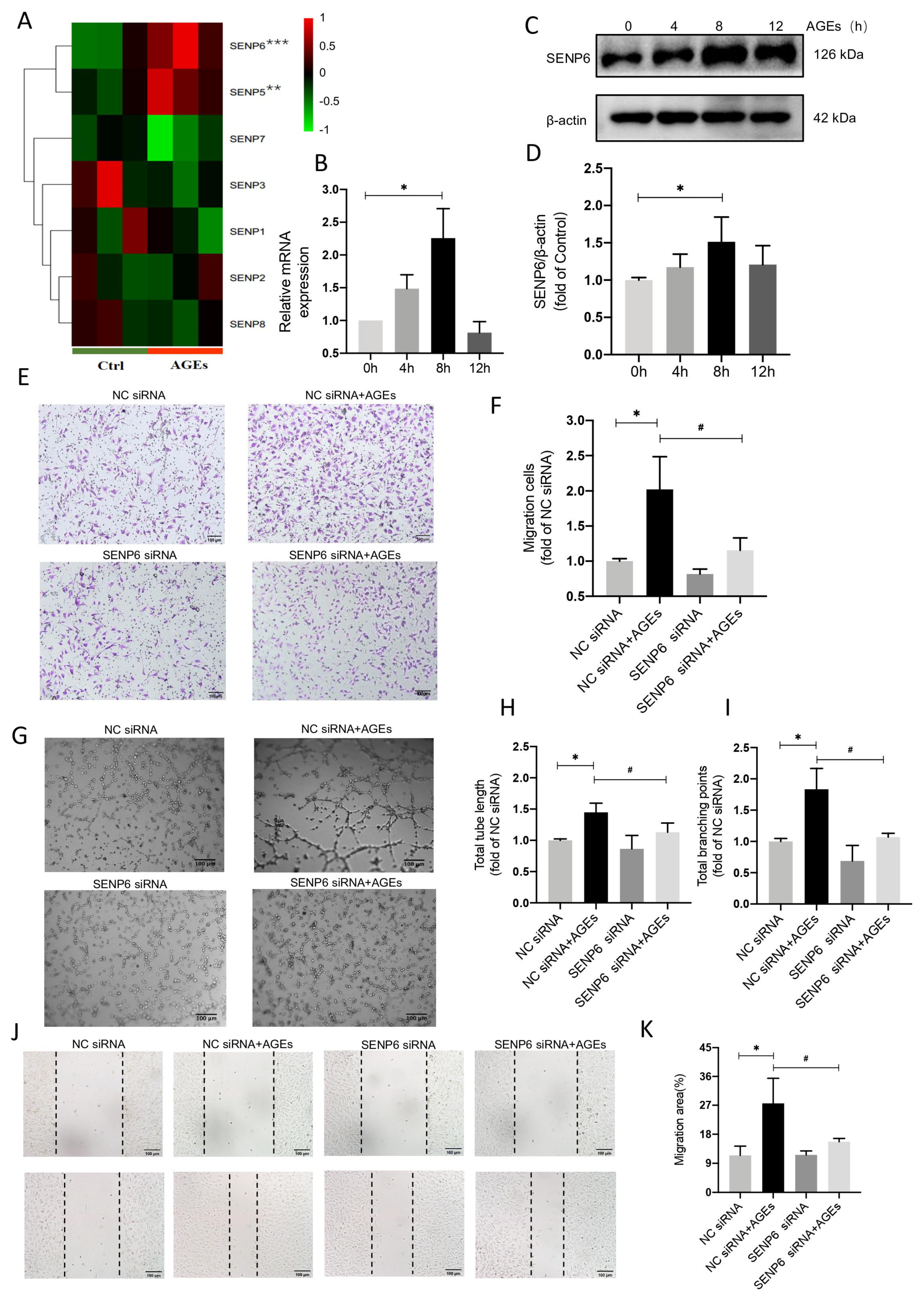 Ijms 24 02544 g003 Ijms 24 02544 g003