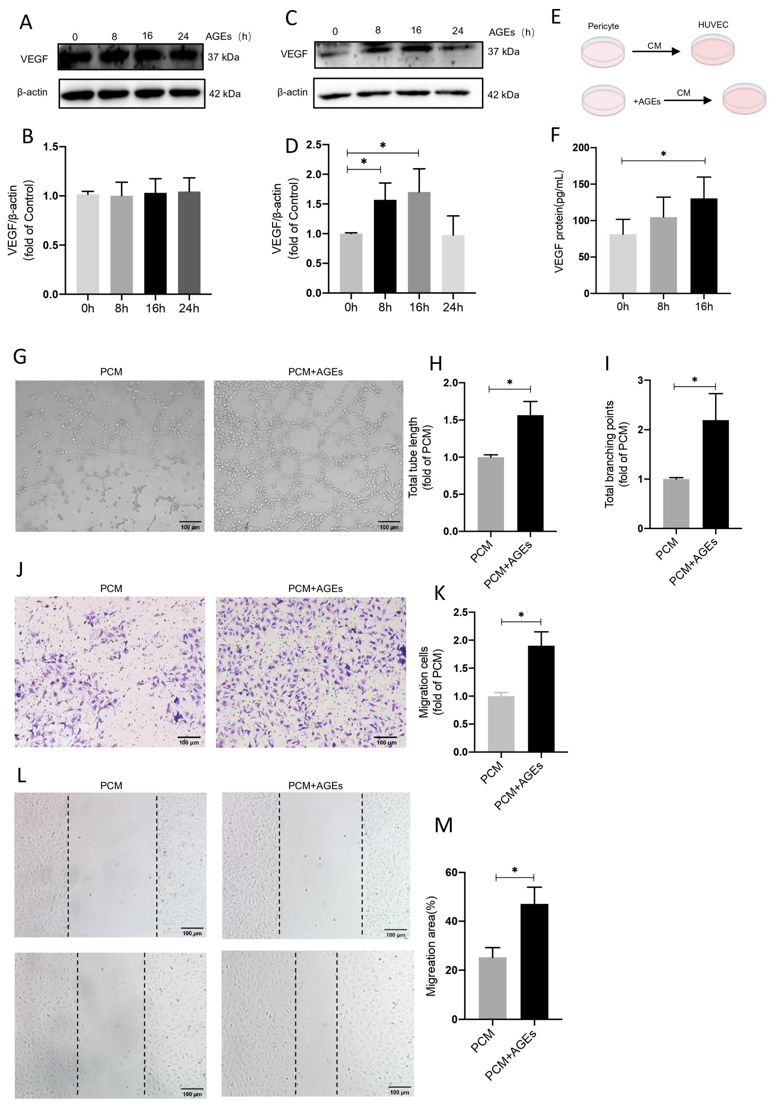 Ijms 24 02544 g006 Ijms 24 02544 g006