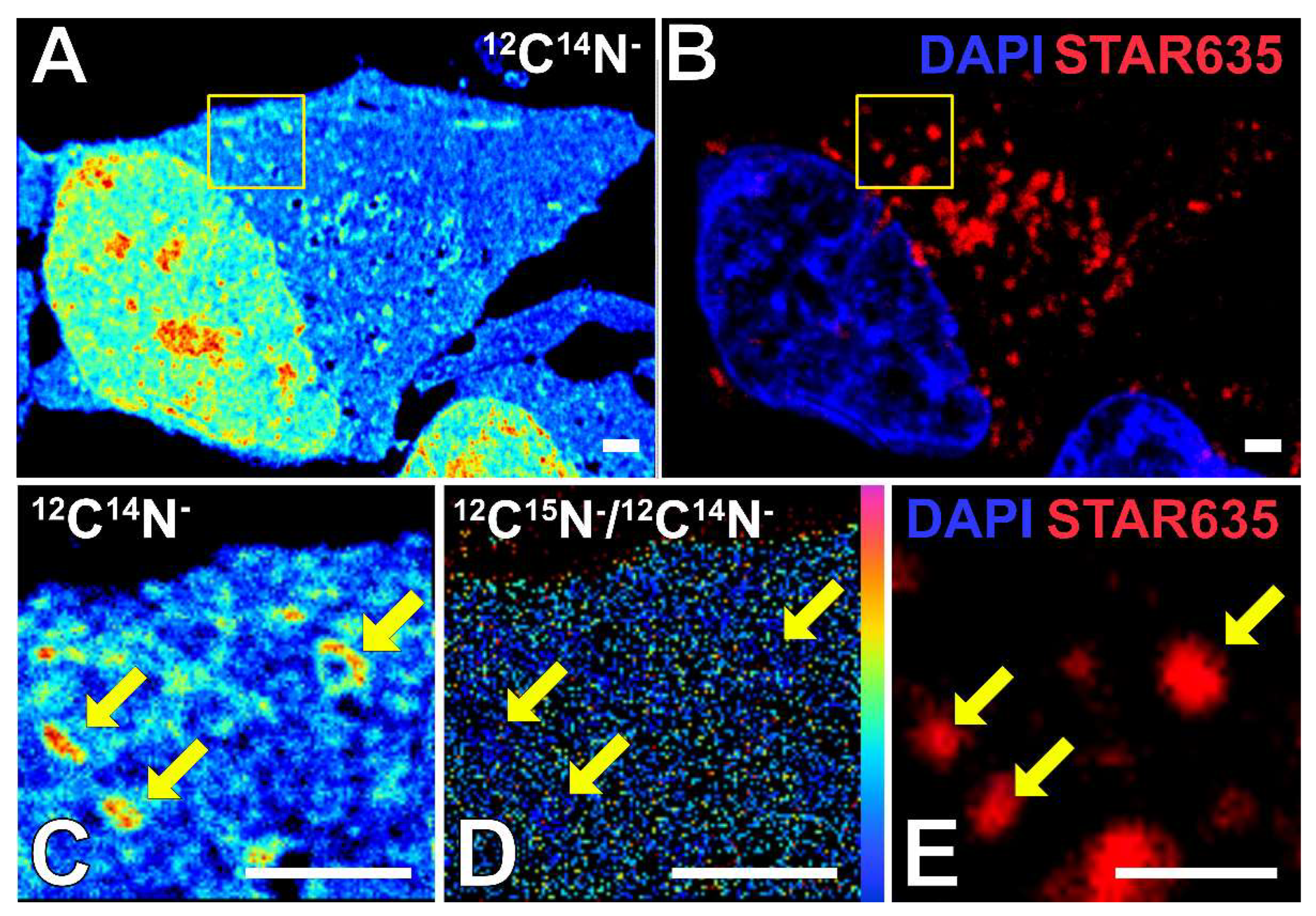 Ijms 24 02546 g001 Ijms 24 02546 g001