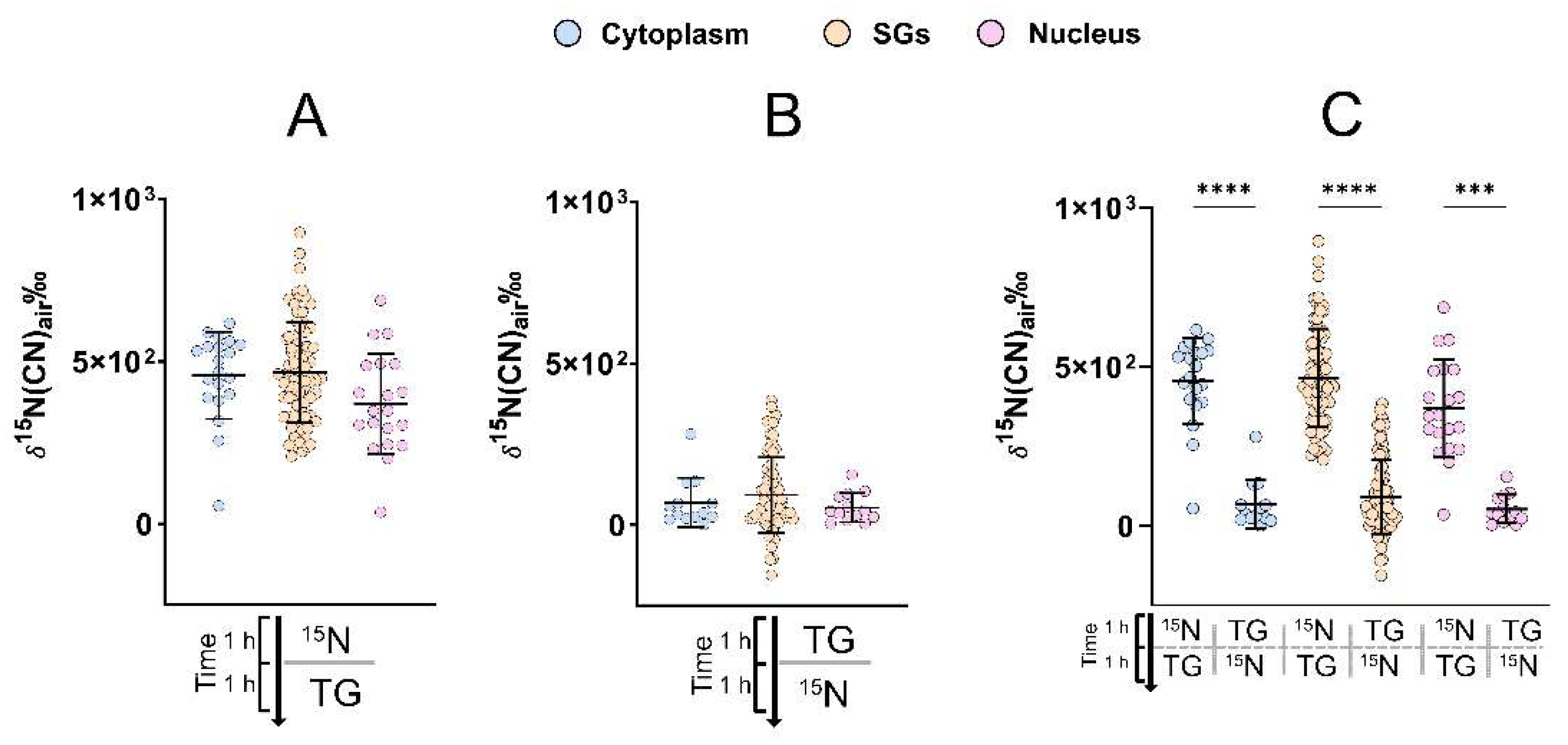 Ijms 24 02546 g003 Ijms 24 02546 g003