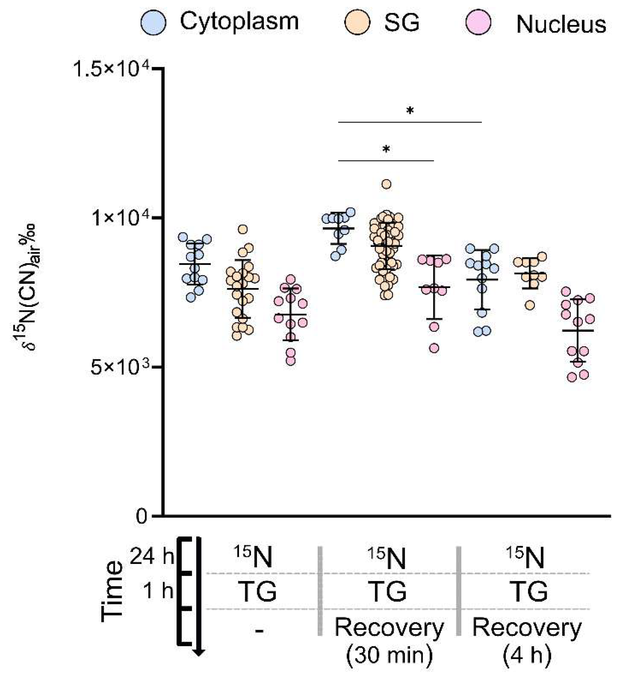 Ijms 24 02546 g004 Ijms 24 02546 g004