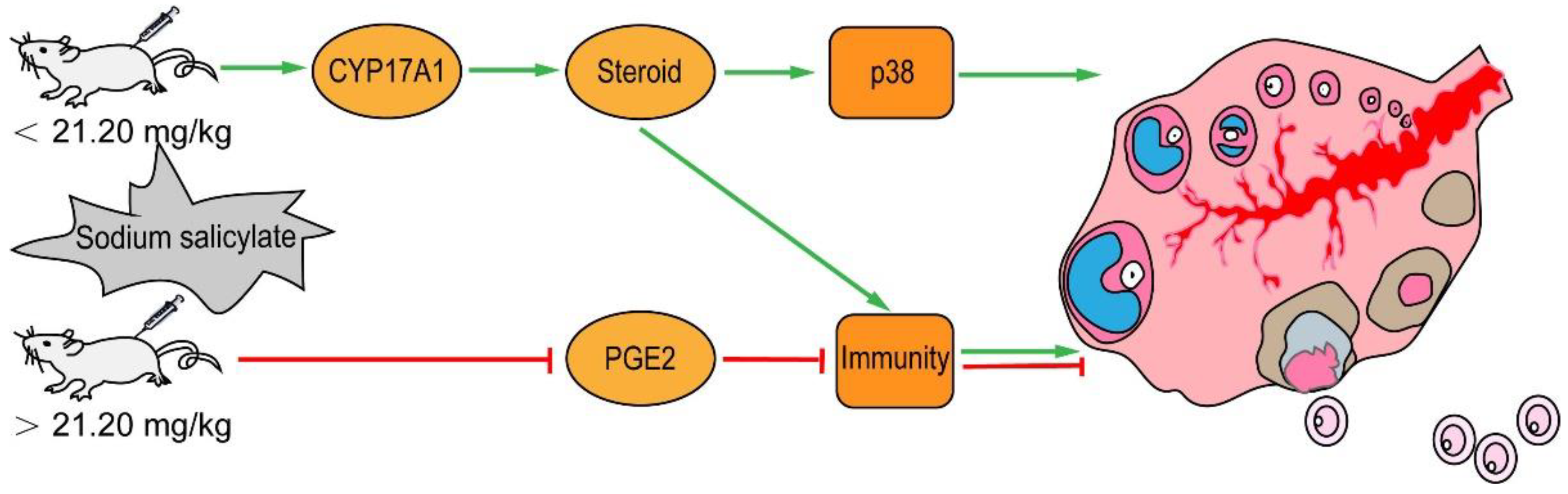 Ijms 24 02579 g007 Ijms 24 02579 g007