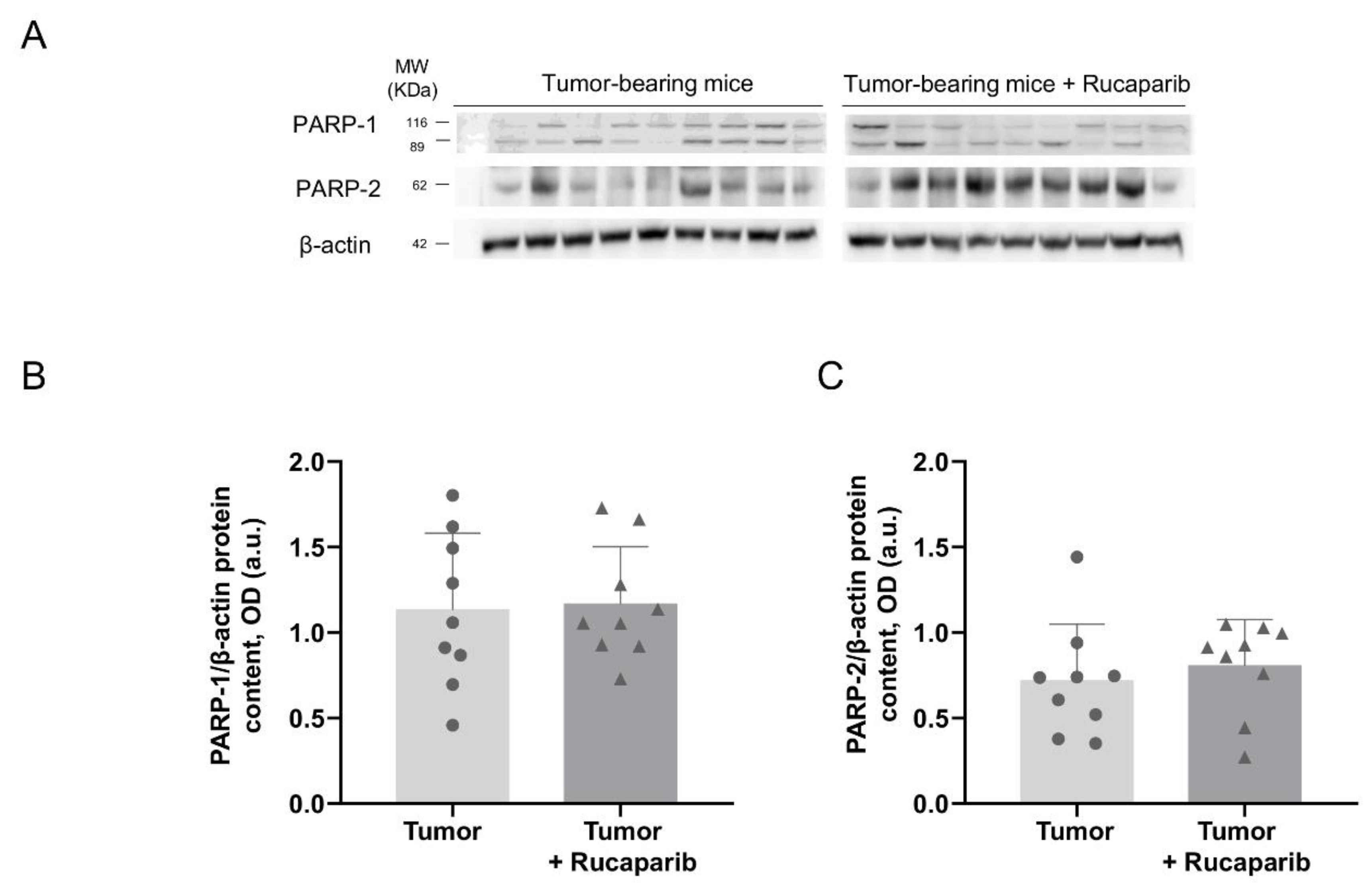 Ijms 24 02580 g002 Ijms 24 02580 g002