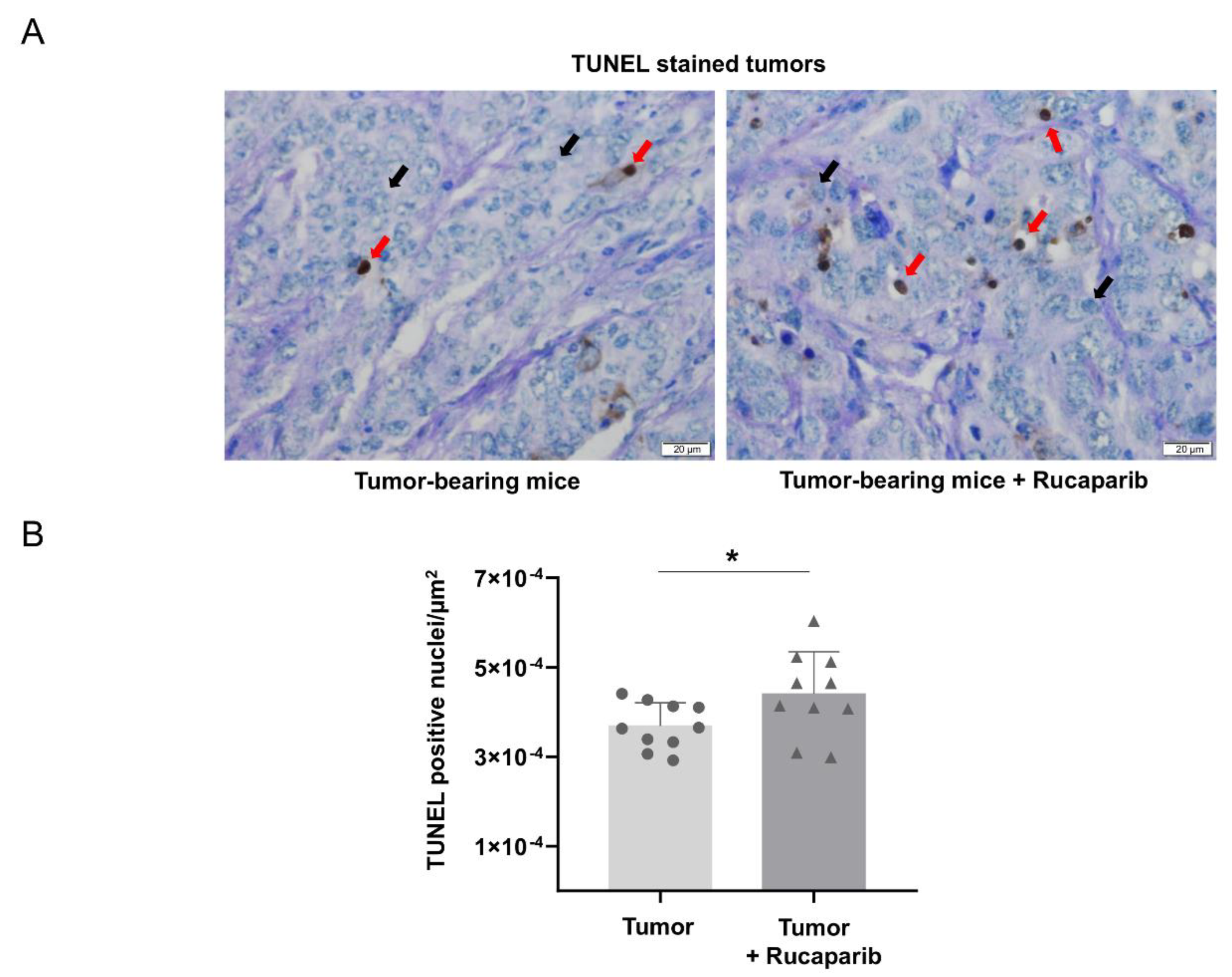 Ijms 24 02580 g004 Ijms 24 02580 g004