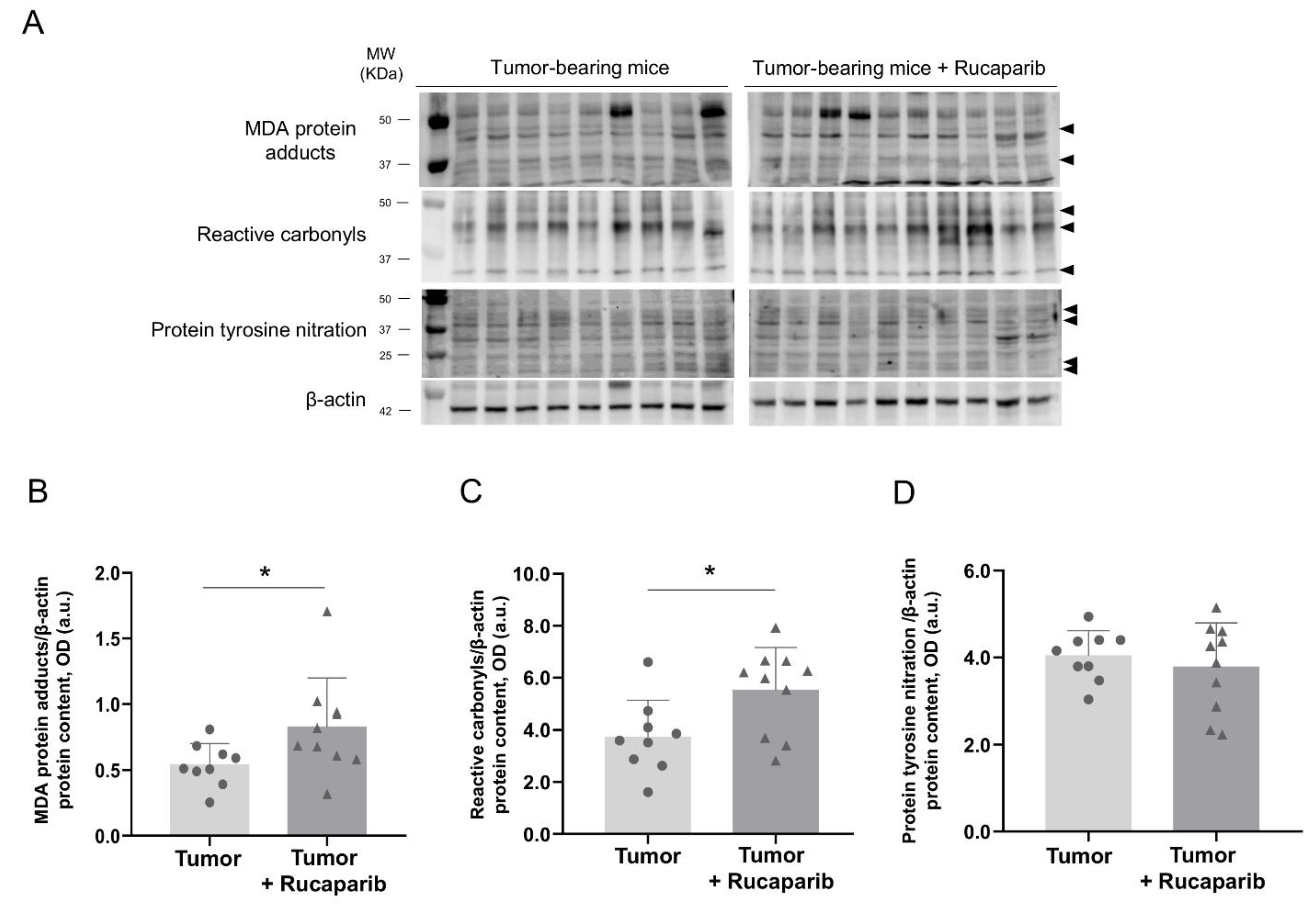 Ijms 24 02580 g006 Ijms 24 02580 g006