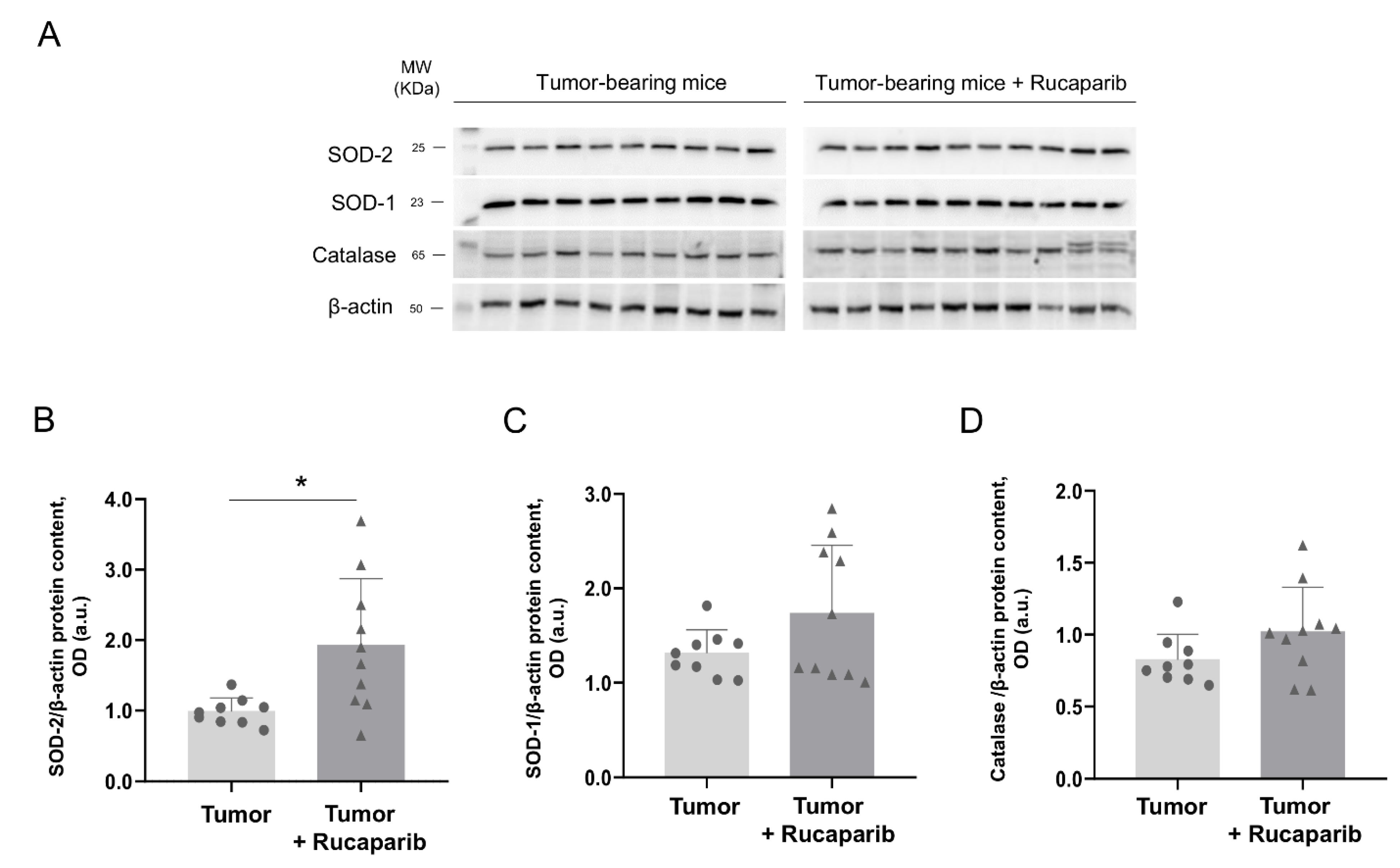 Ijms 24 02580 g007 Ijms 24 02580 g007