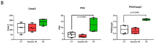 IJMS | Free Full-Text | A Mixture of Chemicals Found in Human Amniotic ...