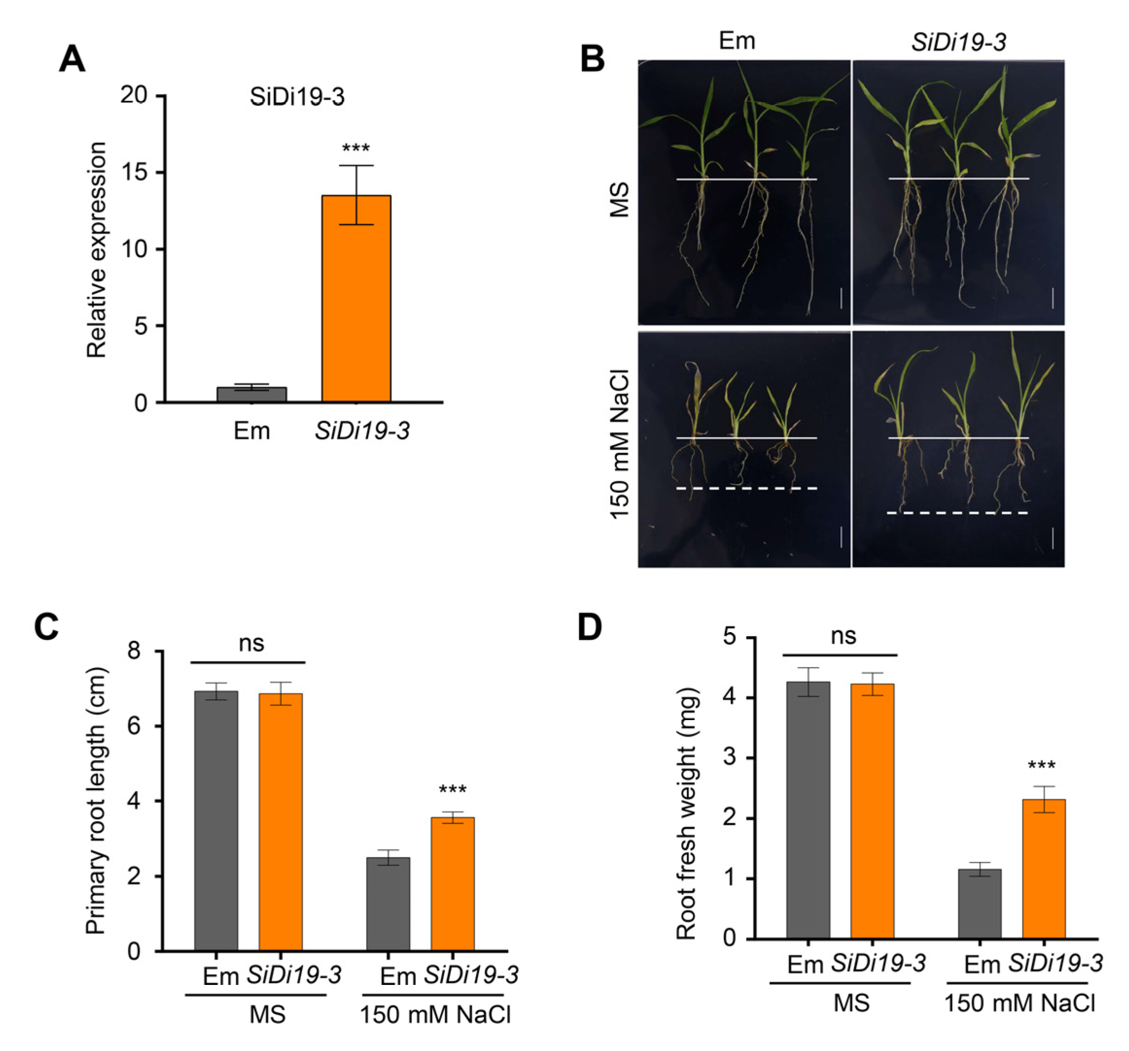 Ijms 24 02592 g002 Ijms 24 02592 g002