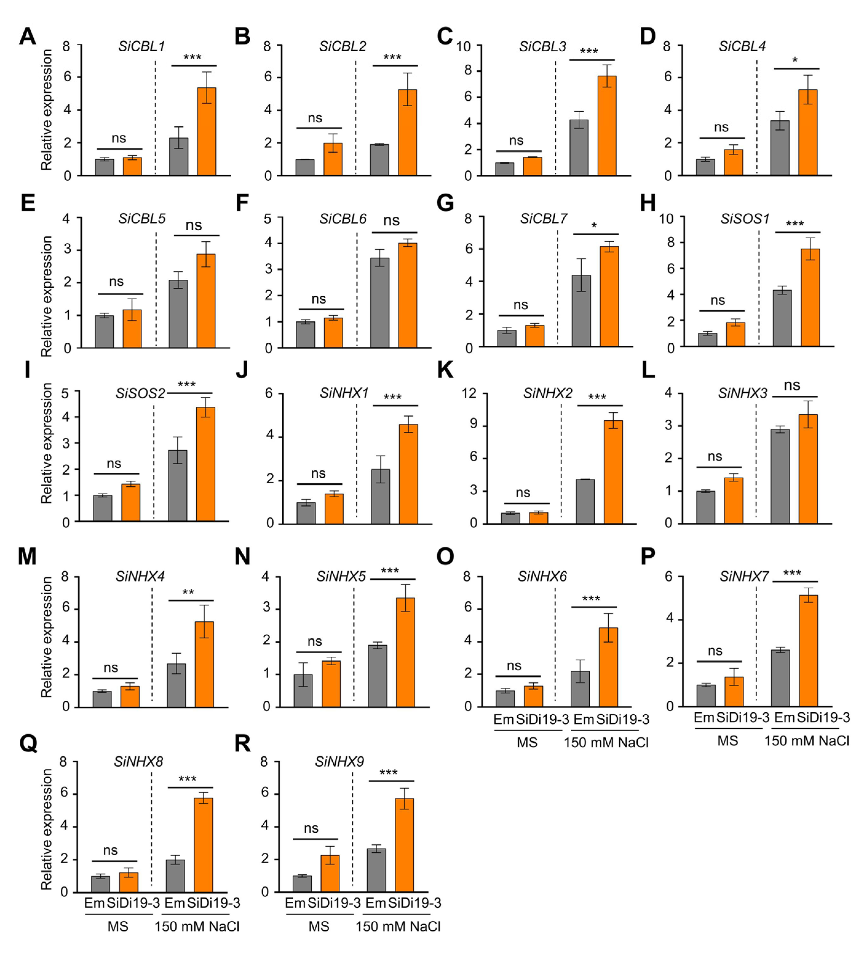 Ijms 24 02592 g003 Ijms 24 02592 g003