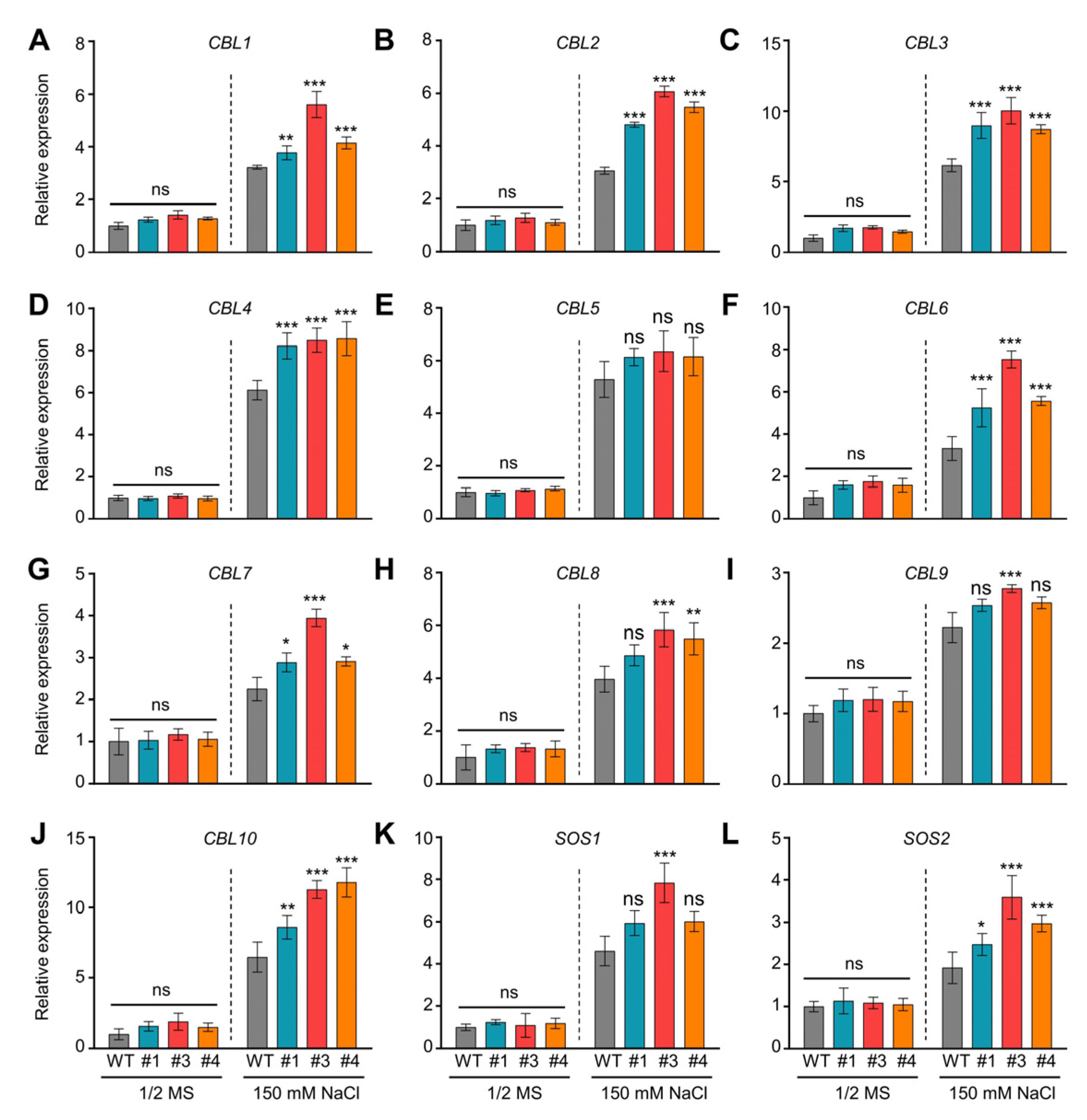 Ijms 24 02592 g005 Ijms 24 02592 g005