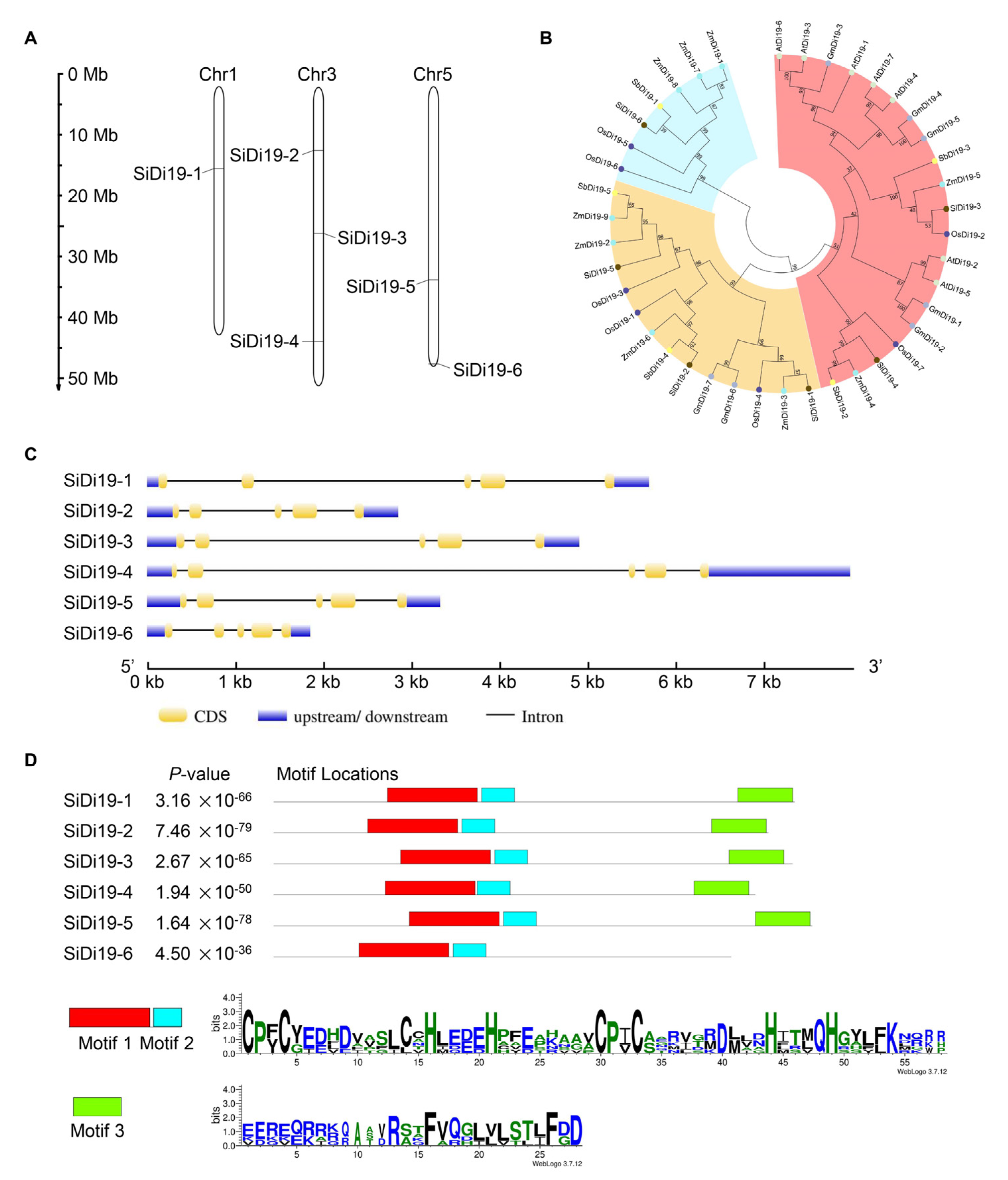 Ijms 24 02592 g006 Ijms 24 02592 g006