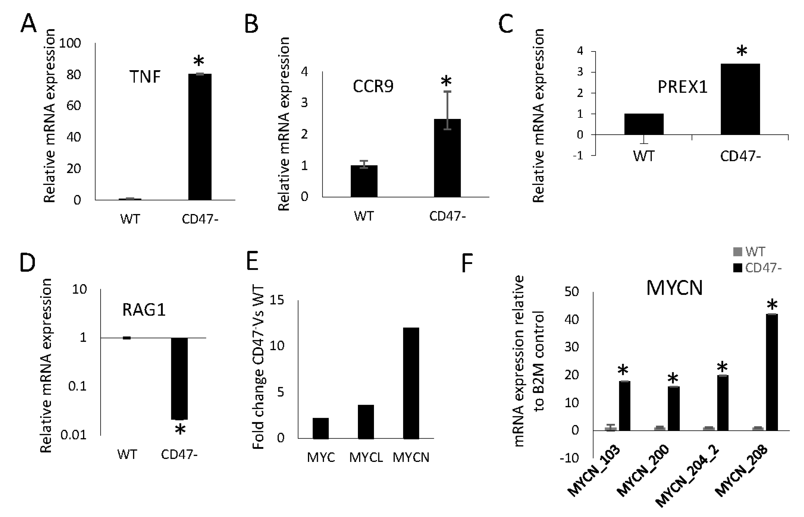 Ijms 24 02612 g001 Ijms 24 02612 g001