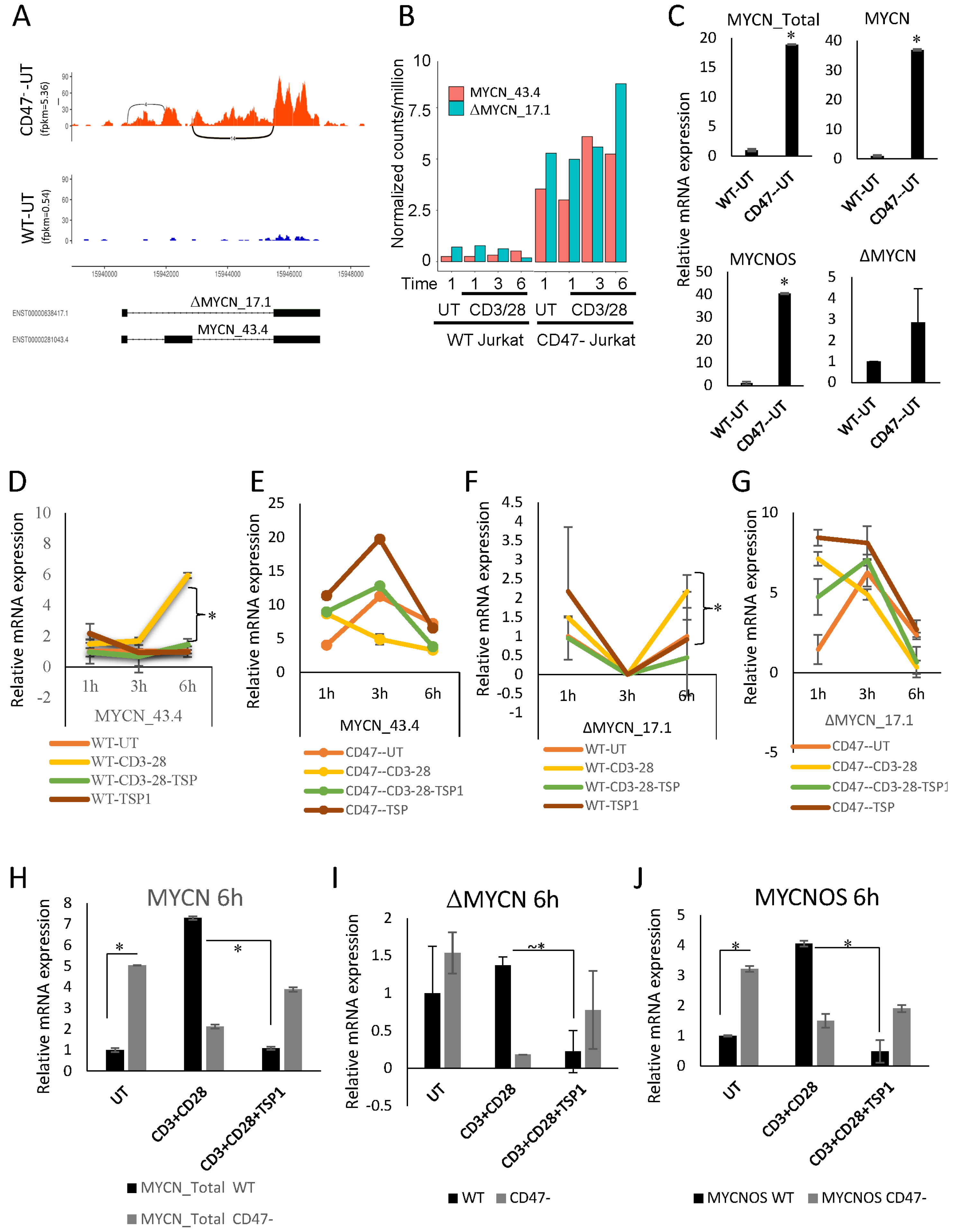 Ijms 24 02612 g003 Ijms 24 02612 g003