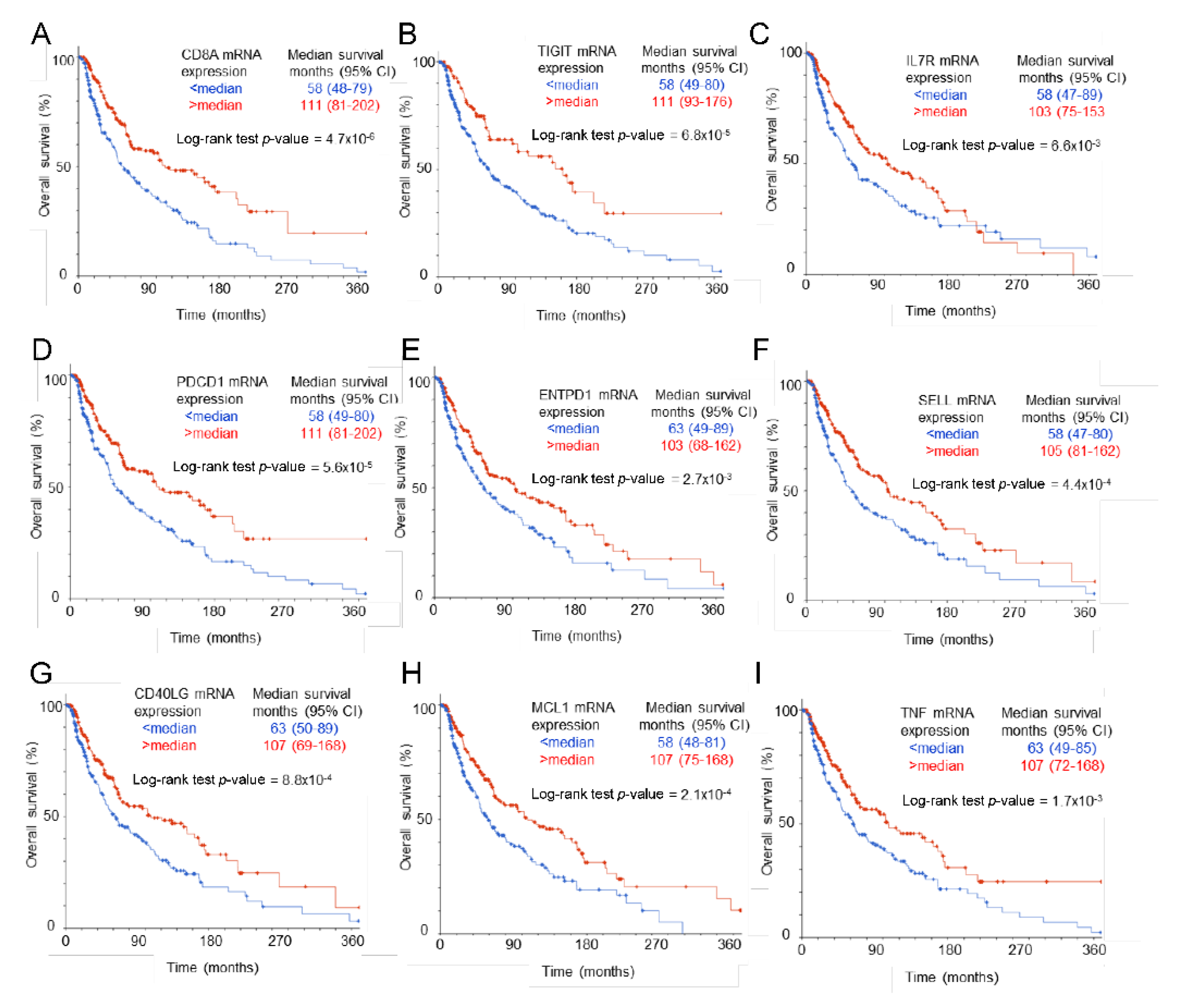 Ijms 24 02612 g004 Ijms 24 02612 g004